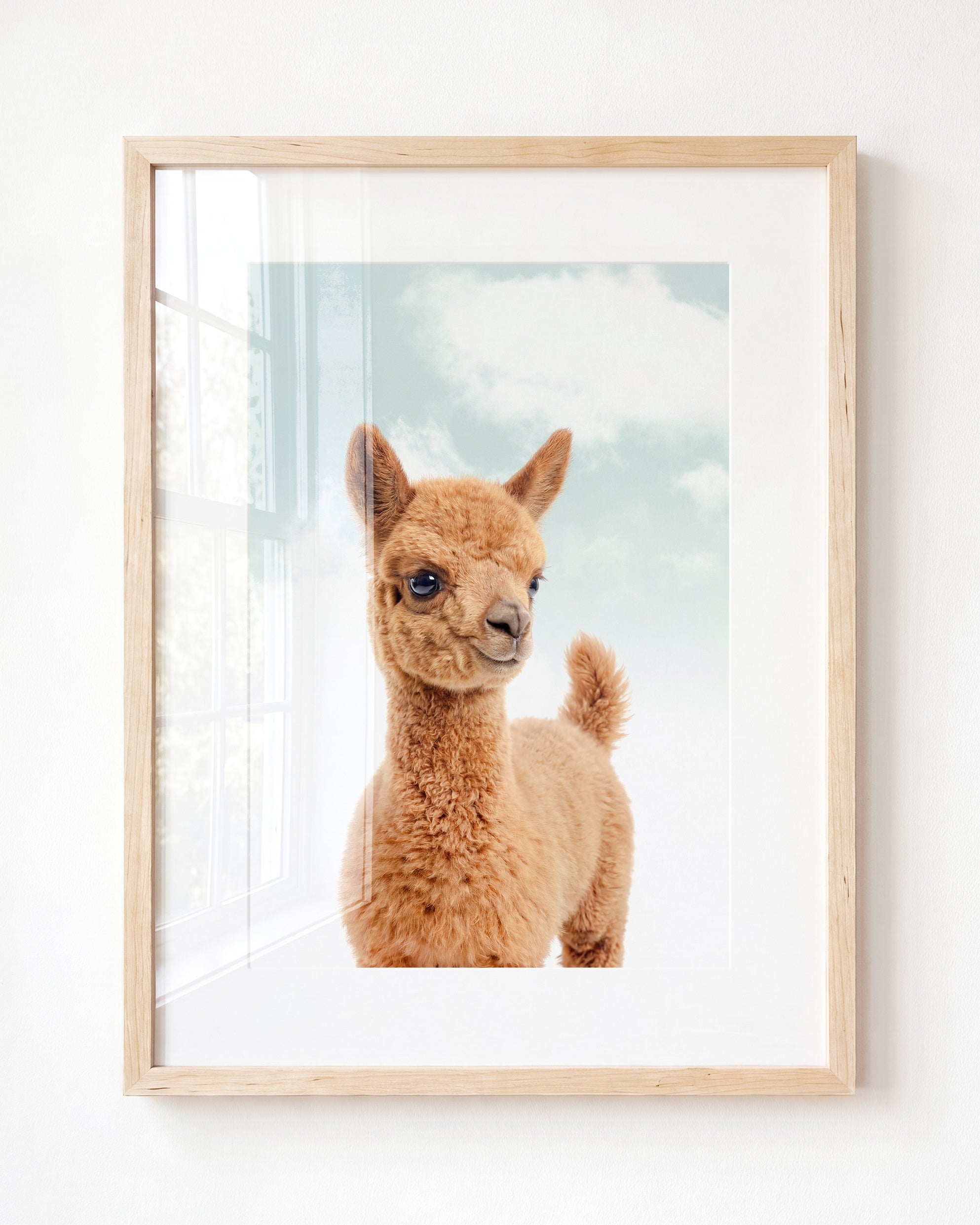 Baby Llama