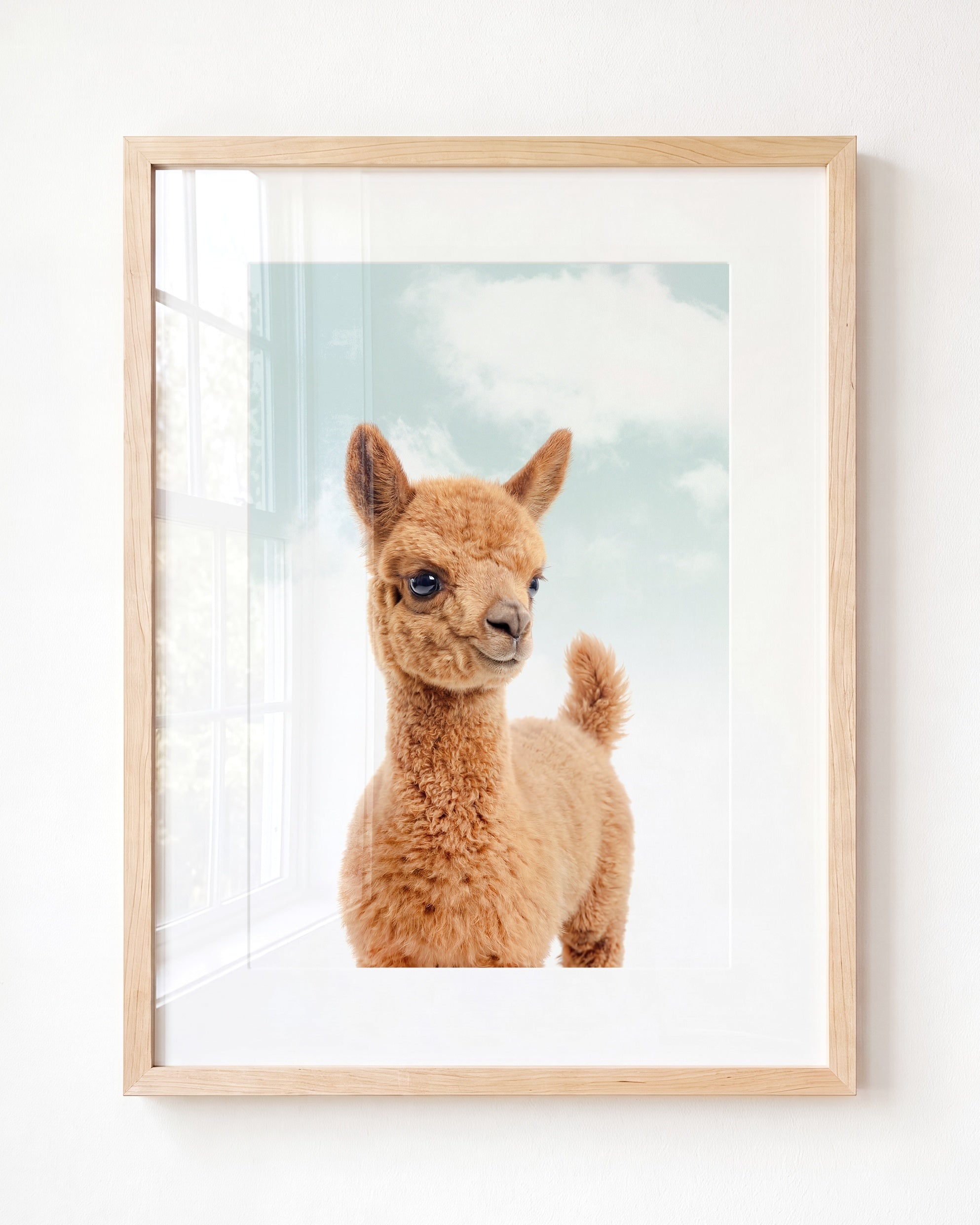 Baby Llama