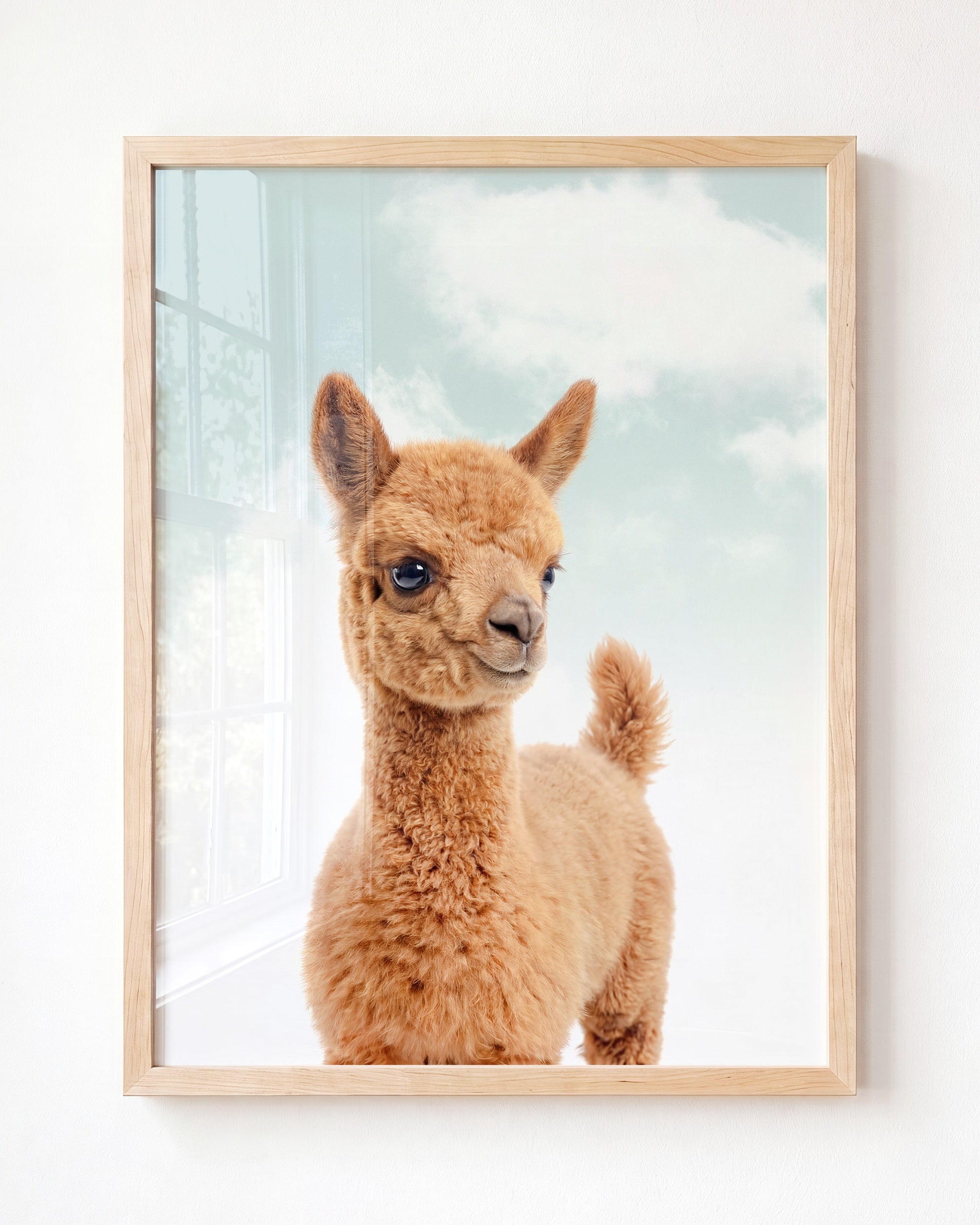 Baby Llama
