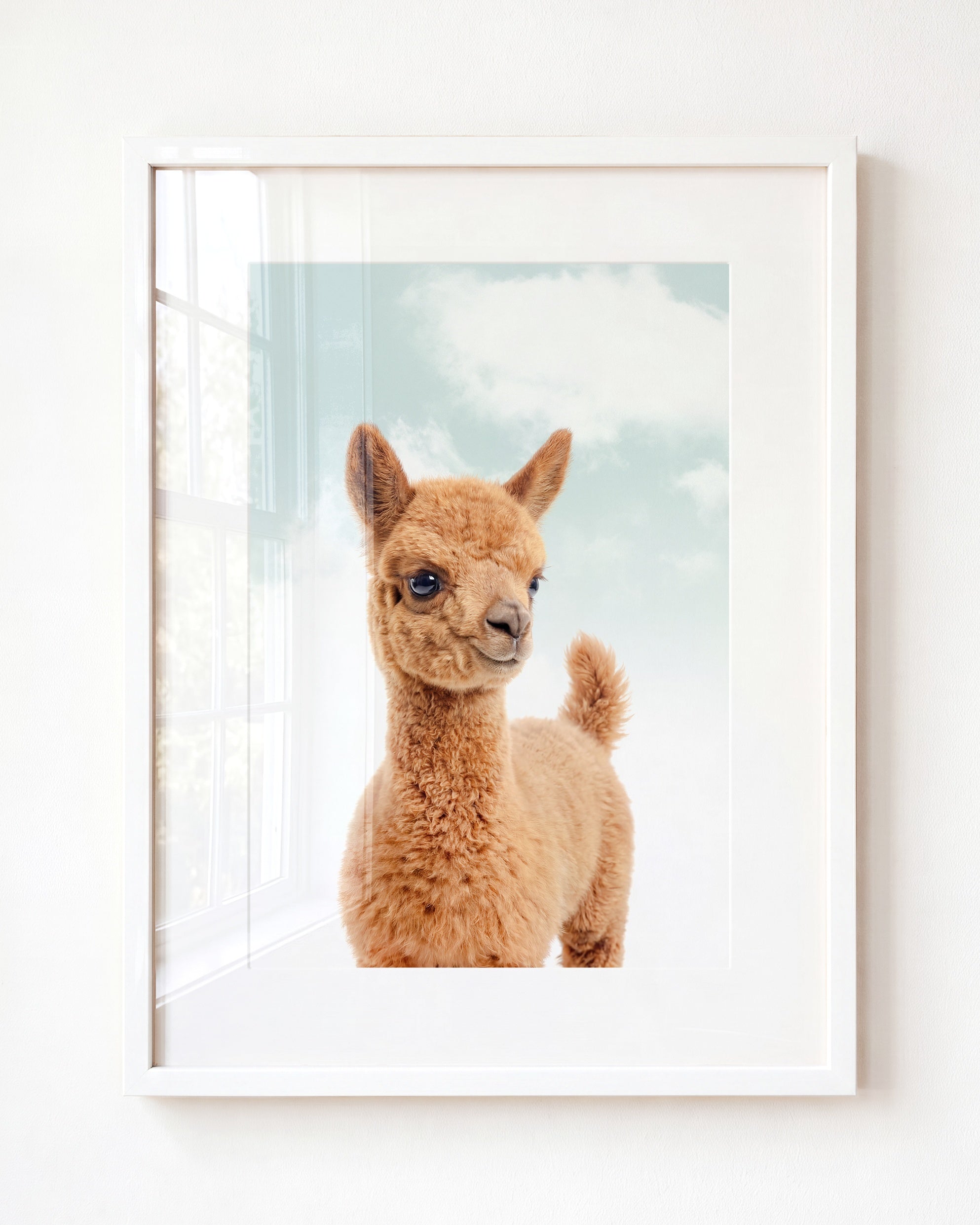 Baby Llama