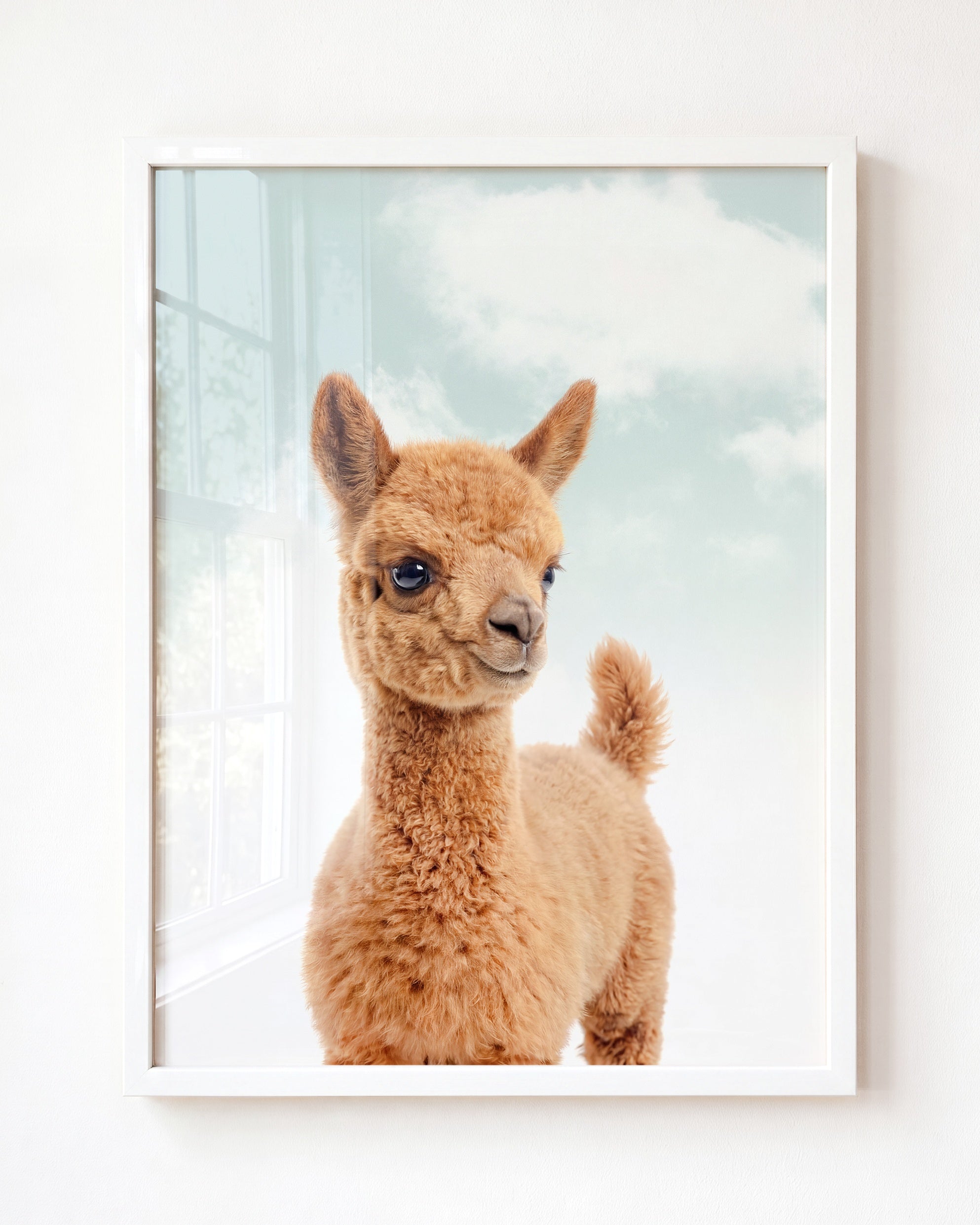 Baby Llama