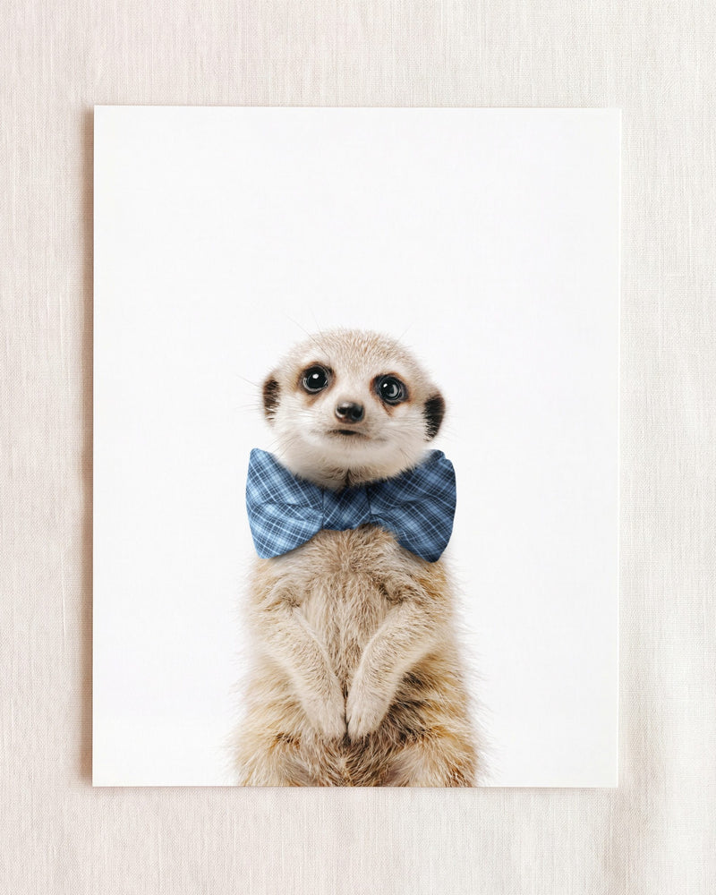 Bow Tie Cornflower