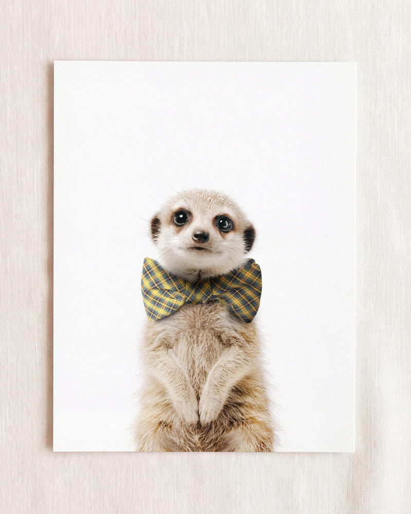 Bow Tie