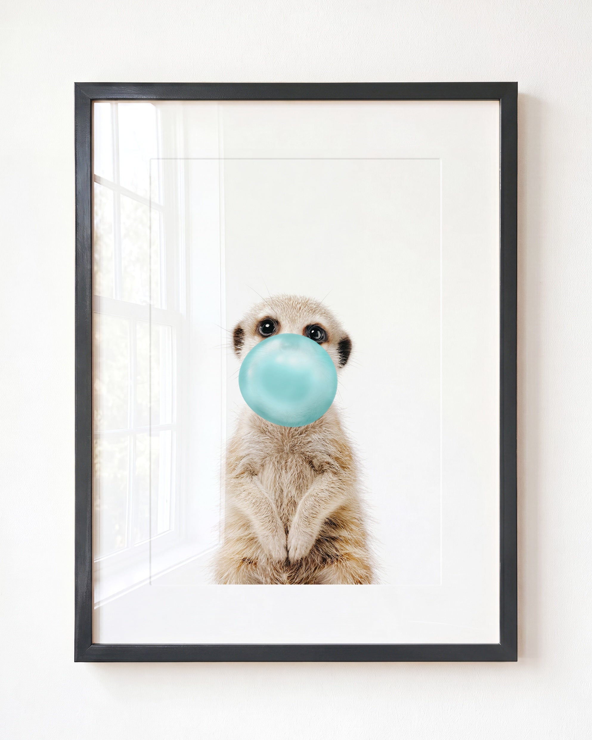 Baby Meerkat