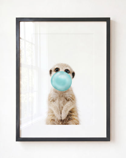 Baby Meerkat