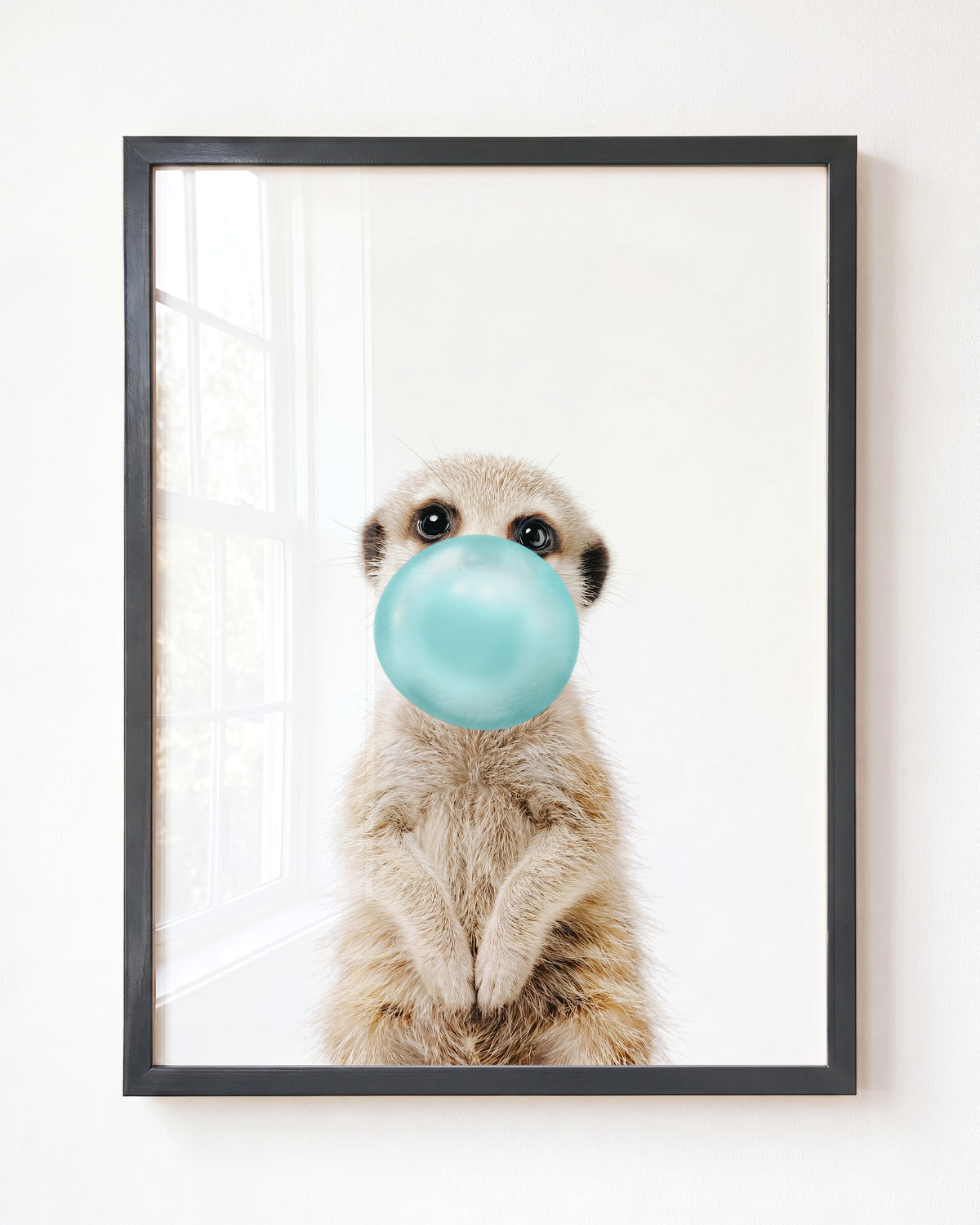 Baby Meerkat