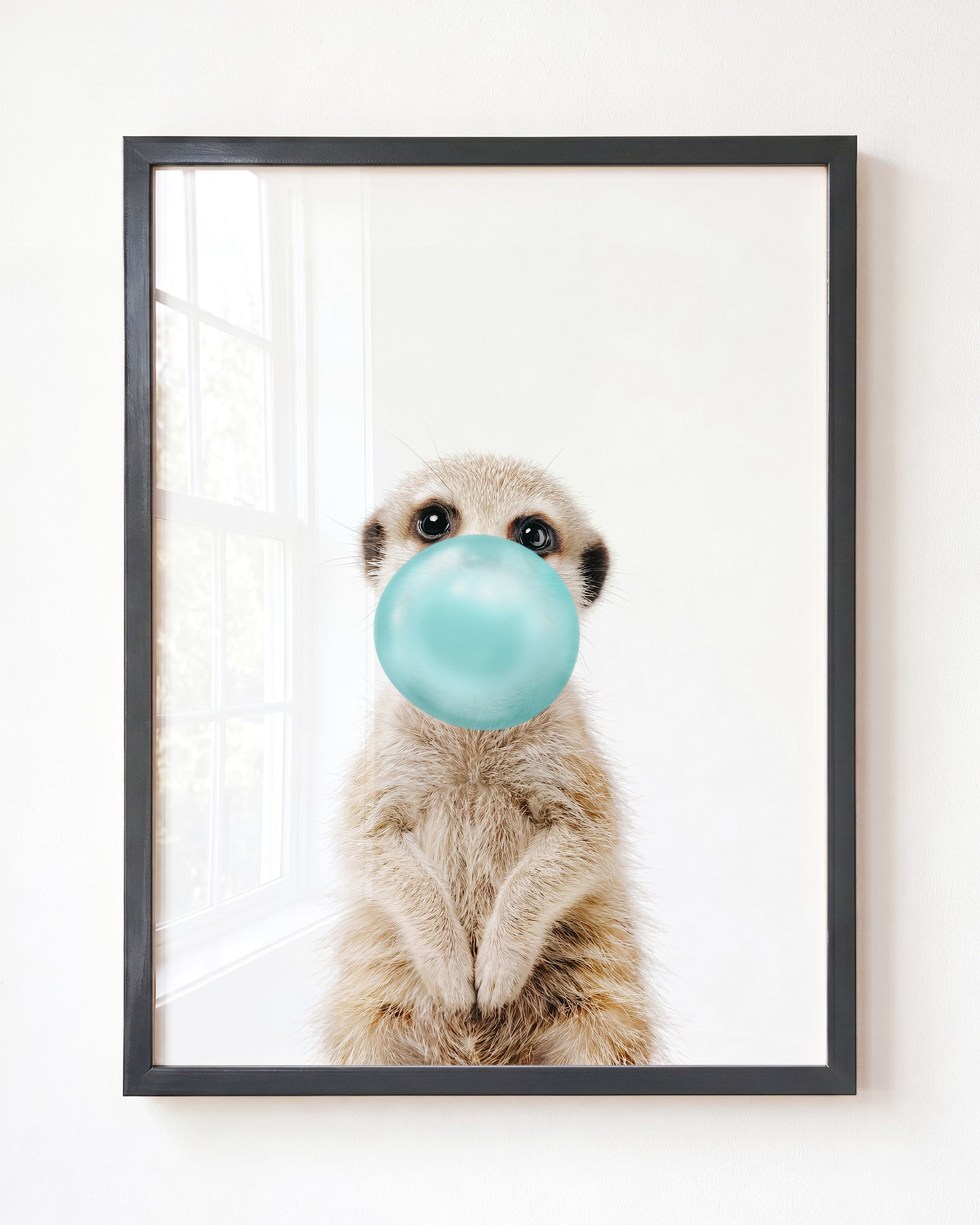 Baby Meerkat