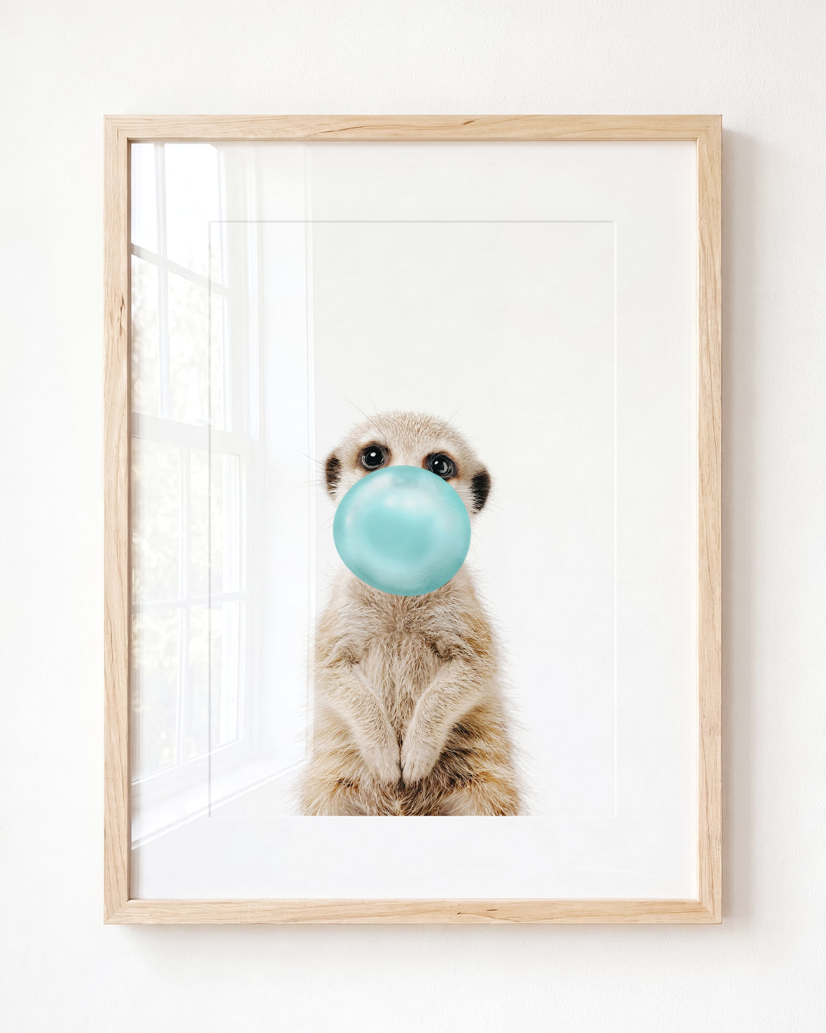 Baby Meerkat
