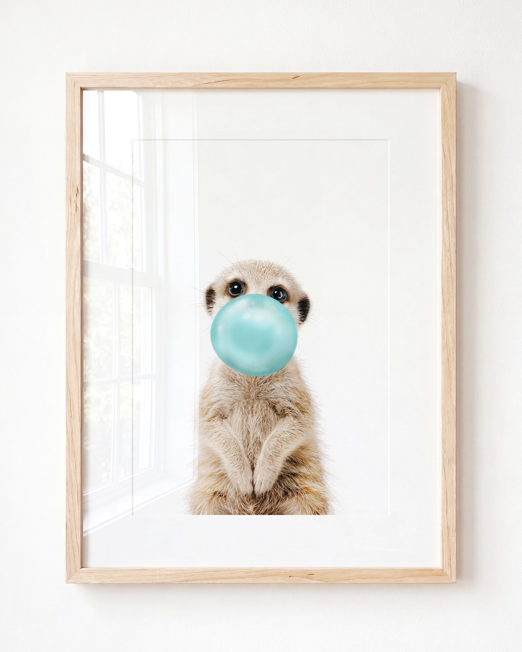 Baby Meerkat