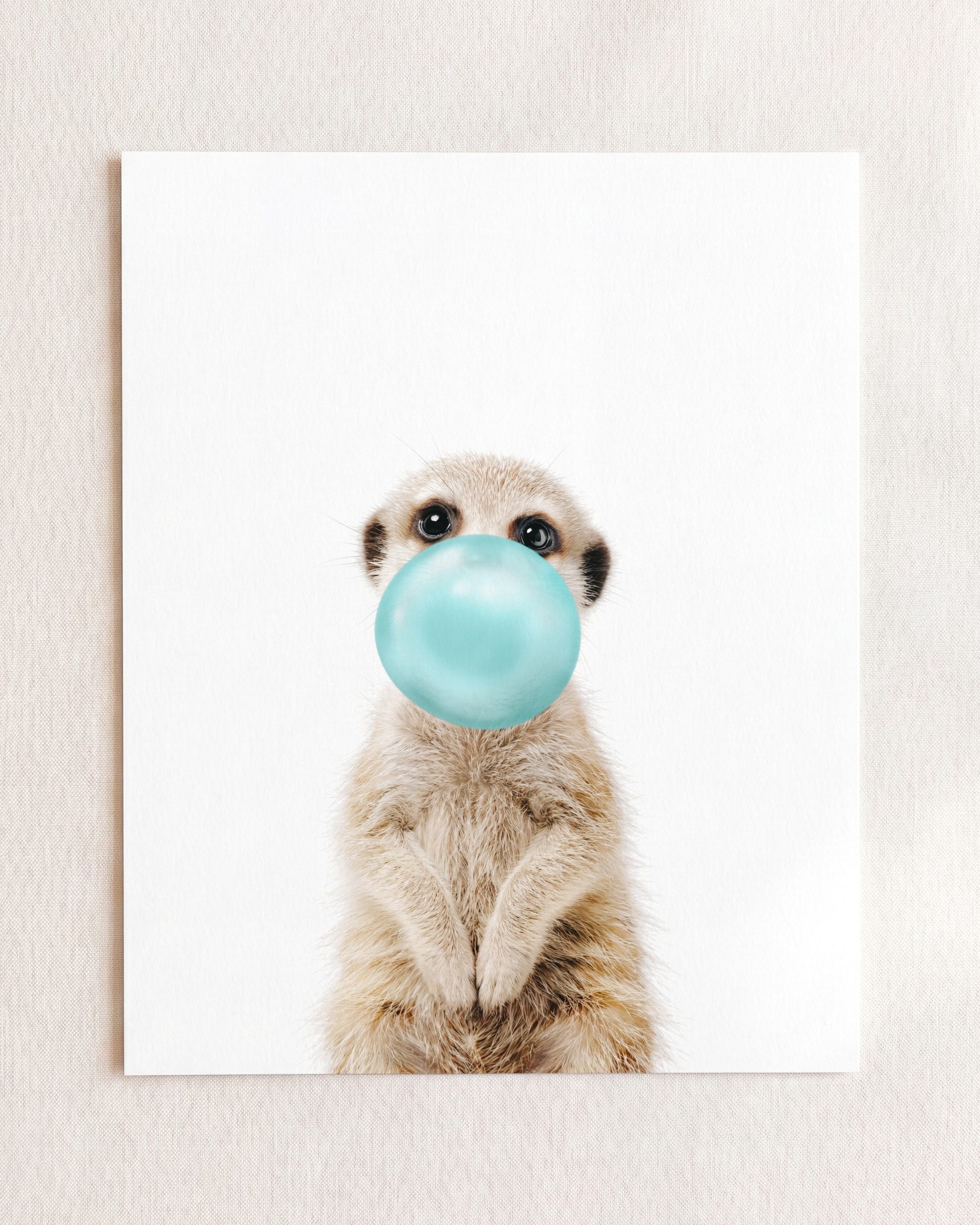 Baby Meerkat