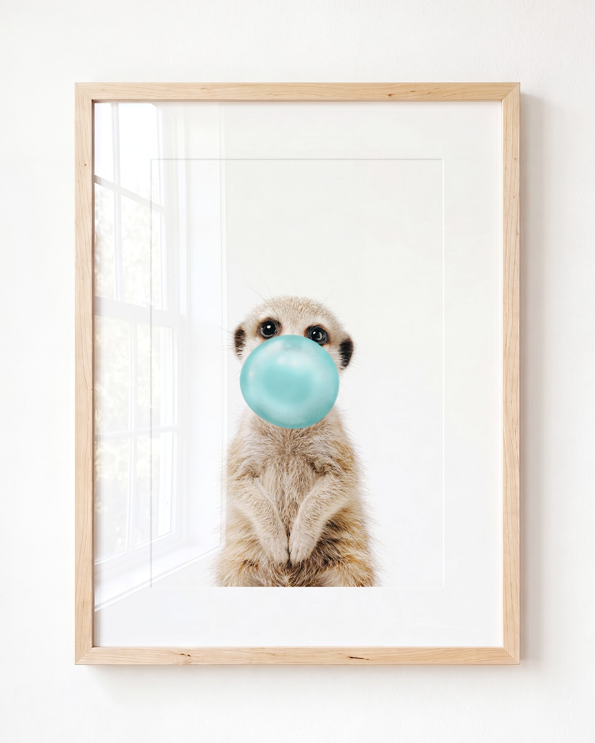 Baby Meerkat