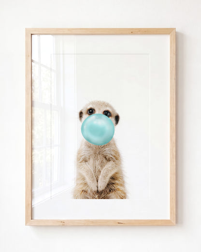 Baby Meerkat