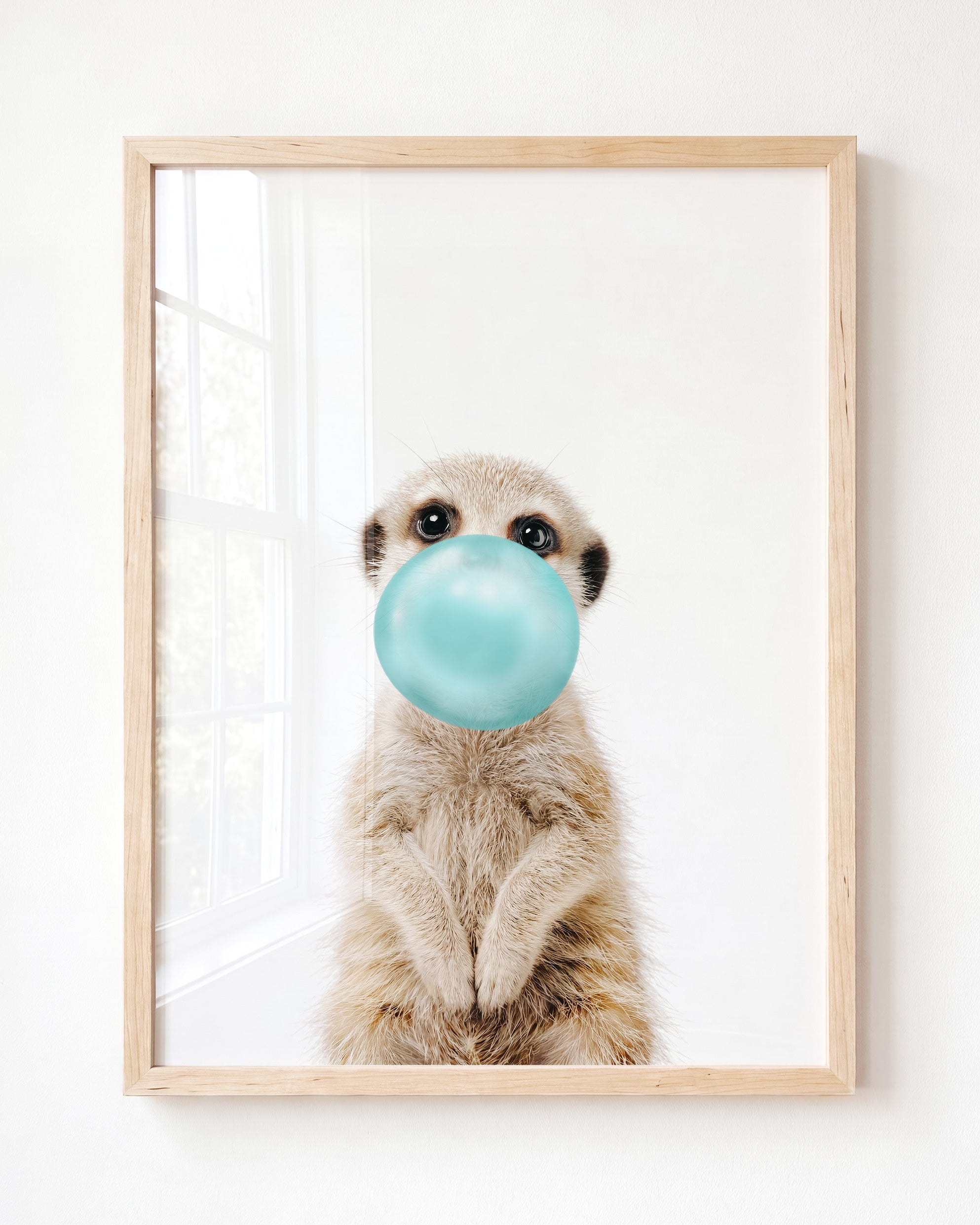 Baby Meerkat