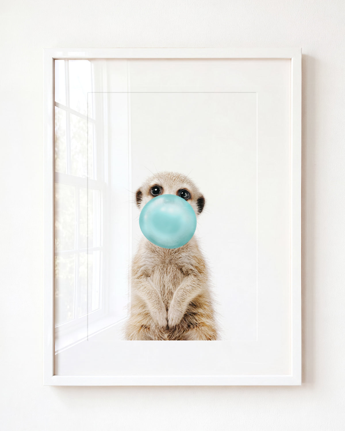 Baby Meerkat