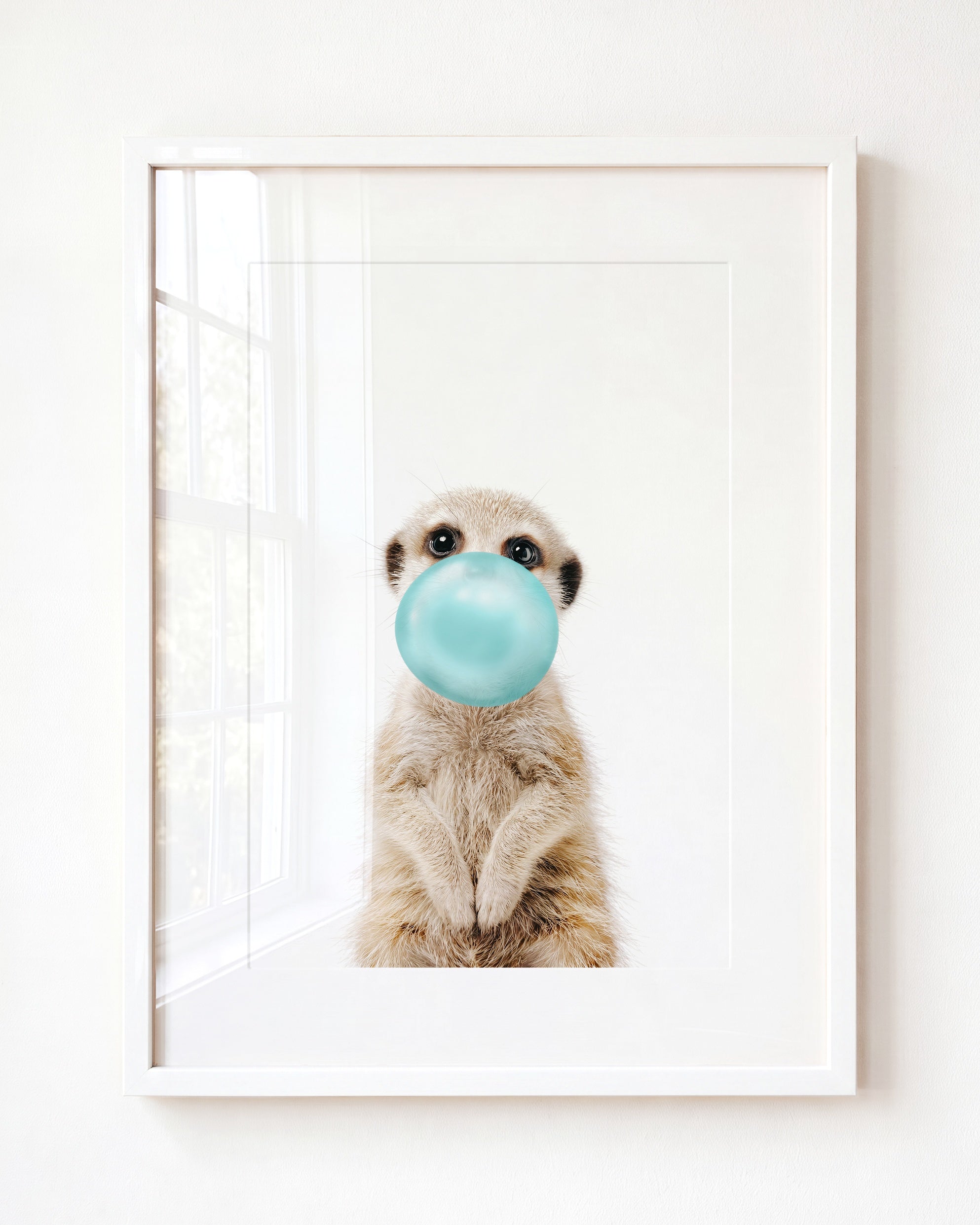 Baby Meerkat