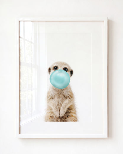 Baby Meerkat