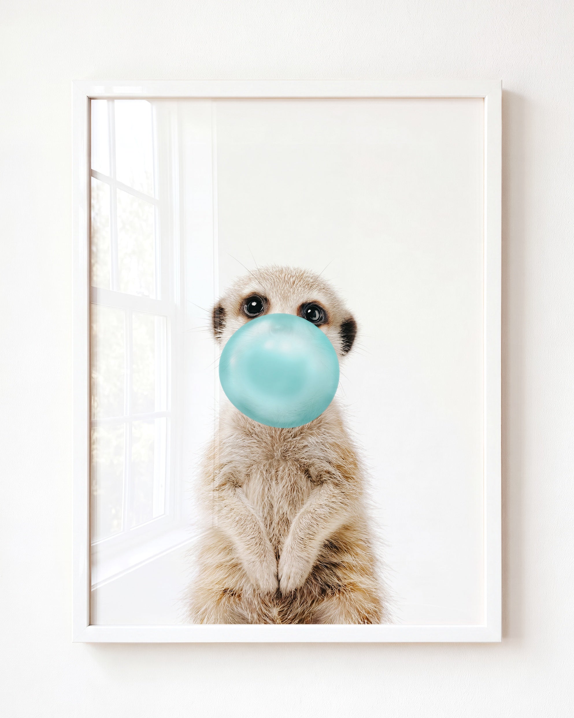 Baby Meerkat