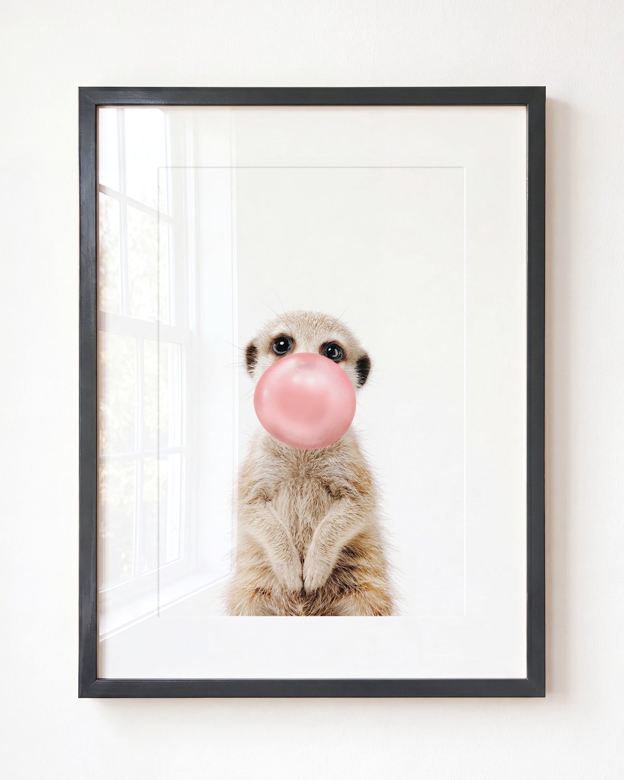 Baby Meerkat