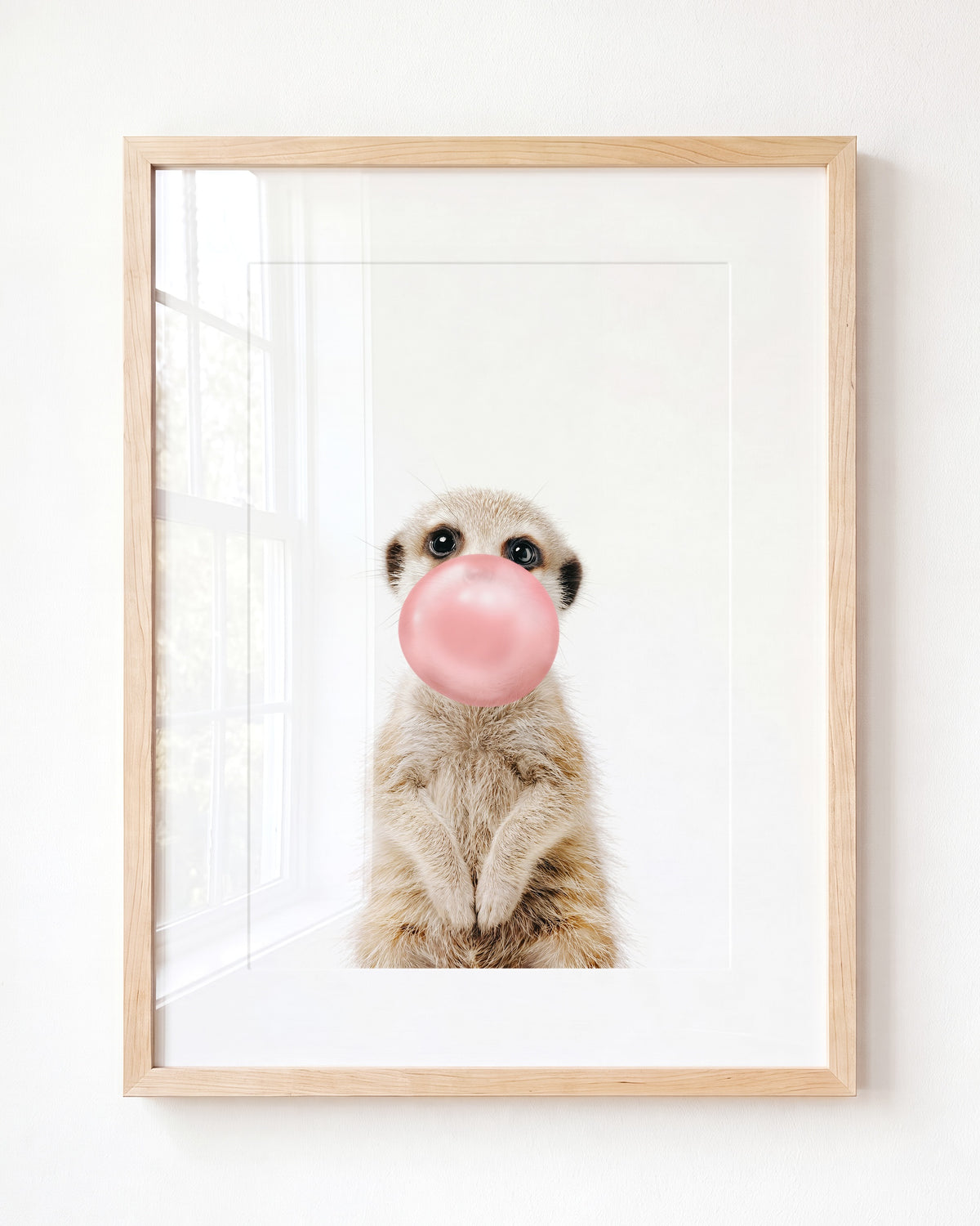 Baby Meerkat