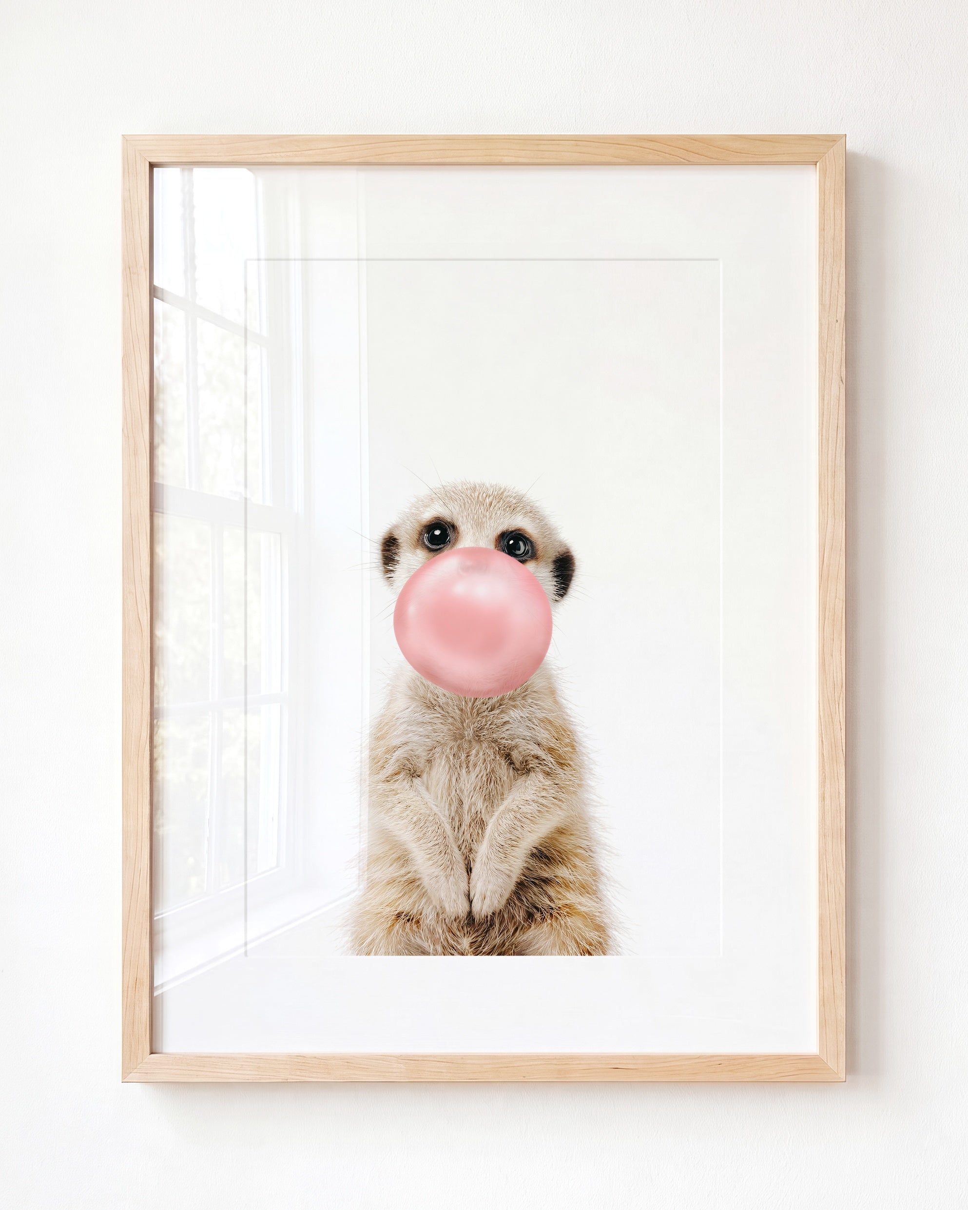 Baby Meerkat
