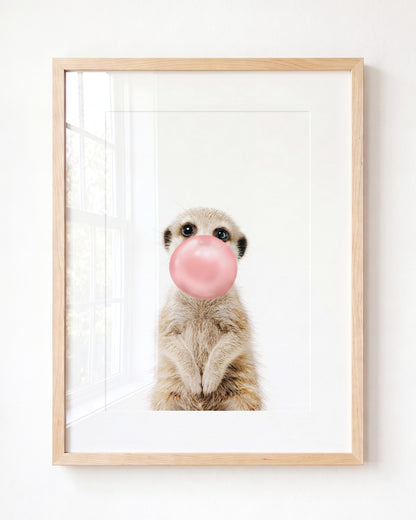 Baby Meerkat