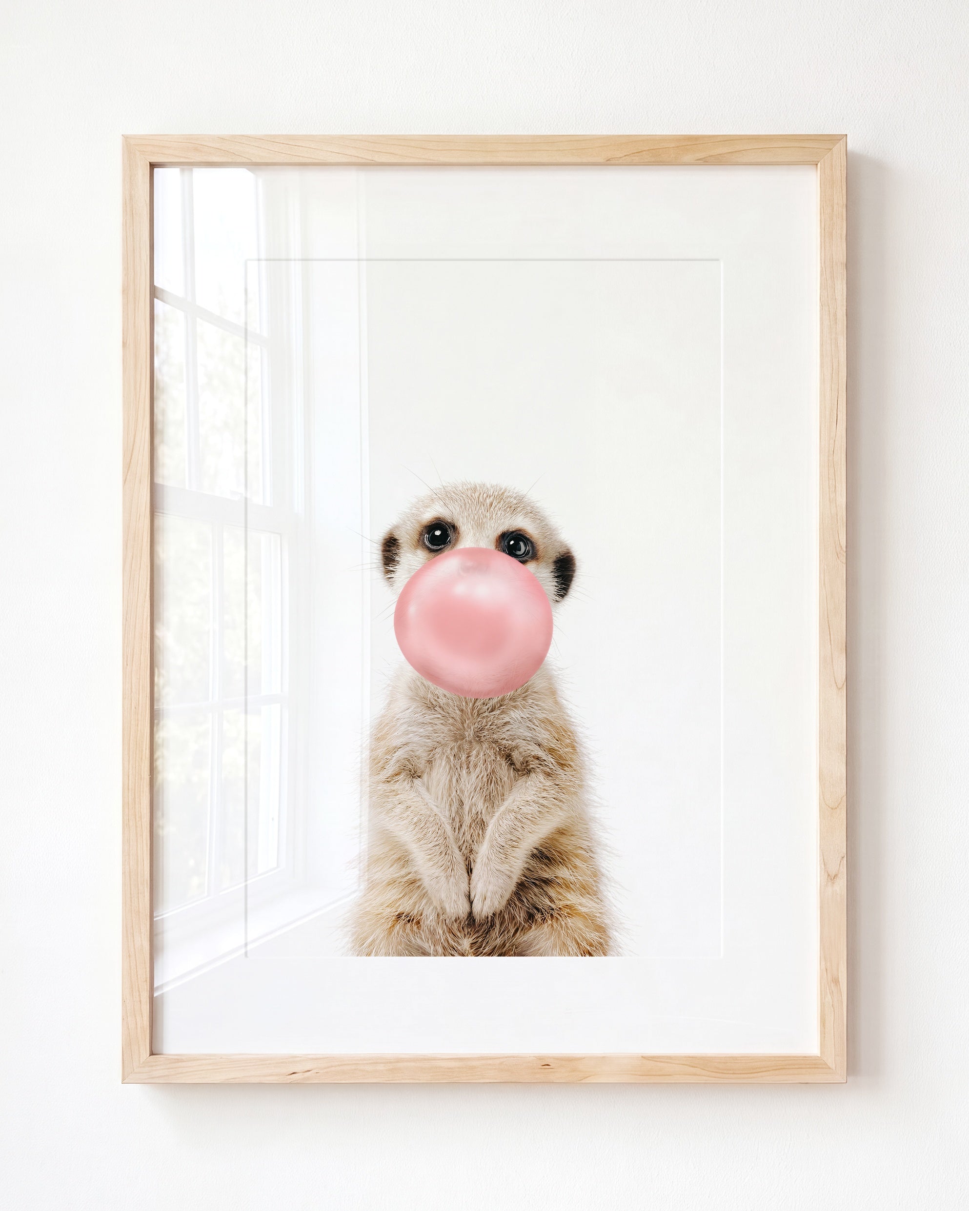 Baby Meerkat