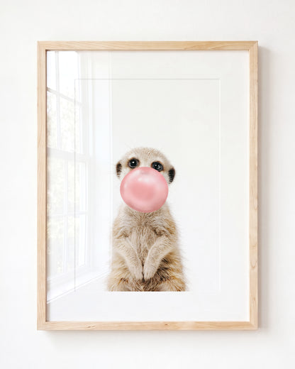 Baby Meerkat