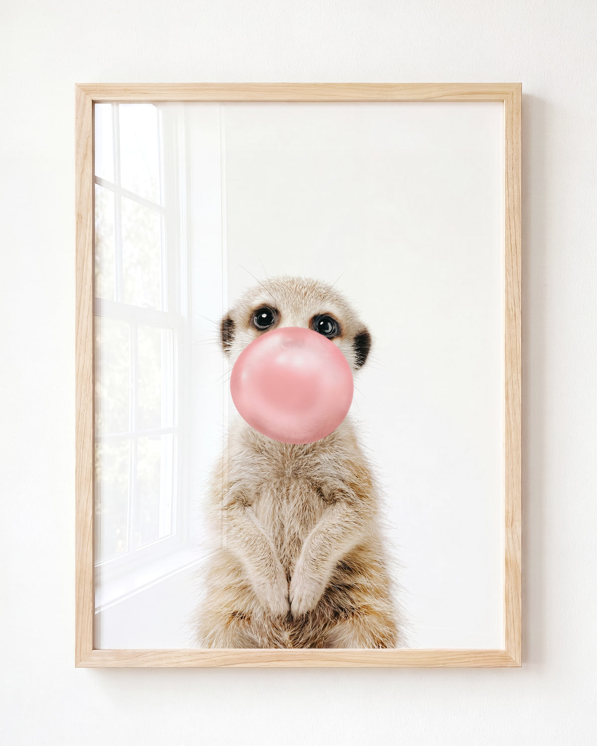 Baby Meerkat