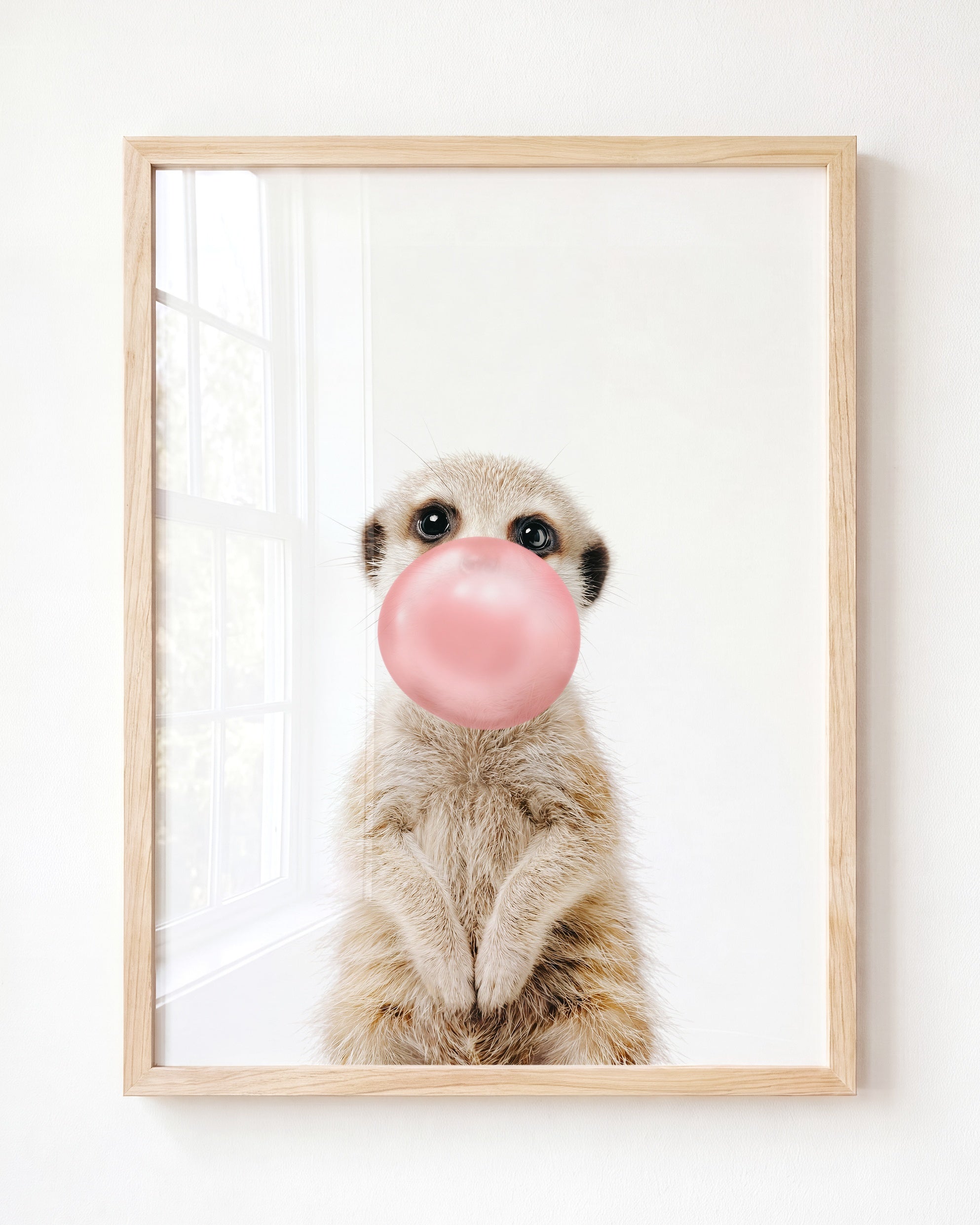 Baby Meerkat
