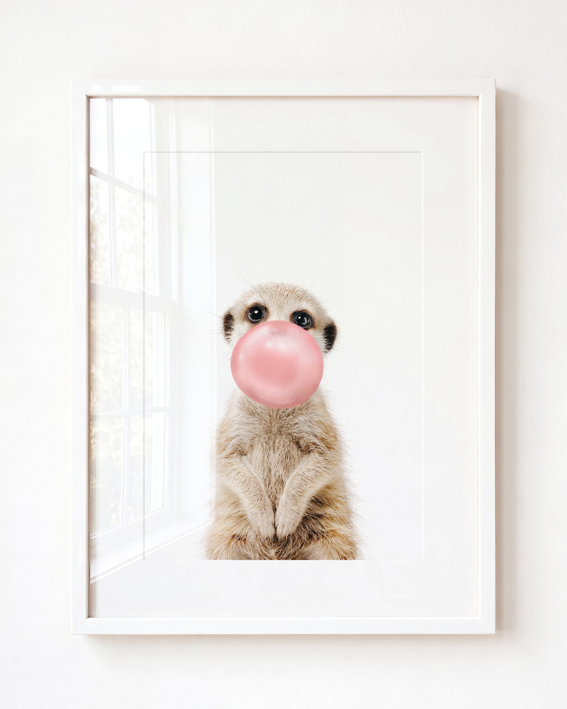 Baby Meerkat