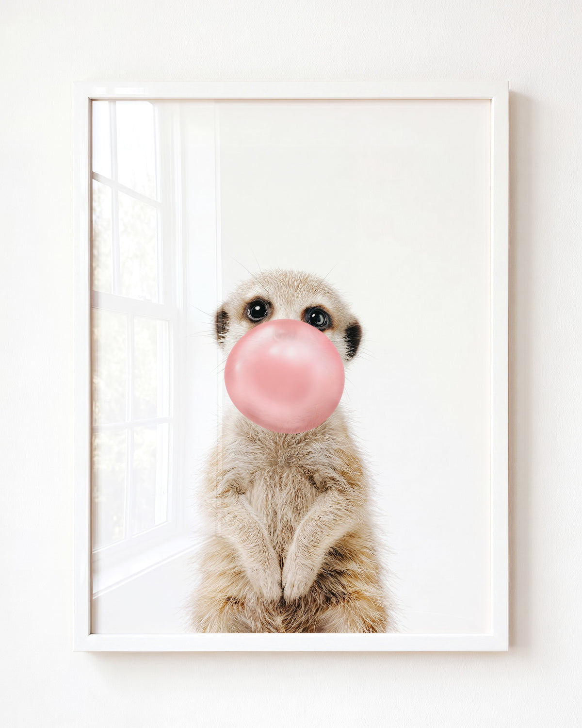 Baby Meerkat