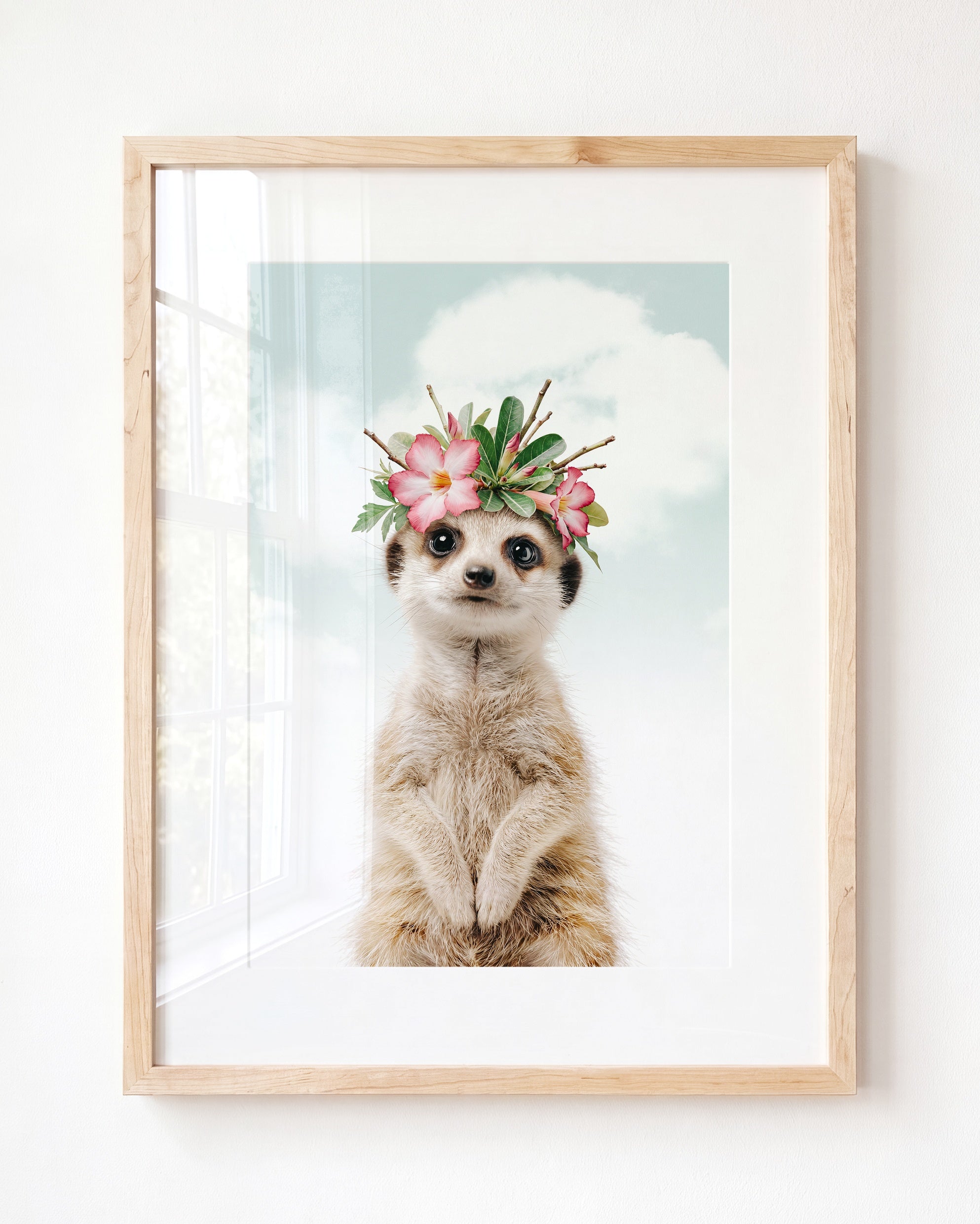 Baby Meerkat