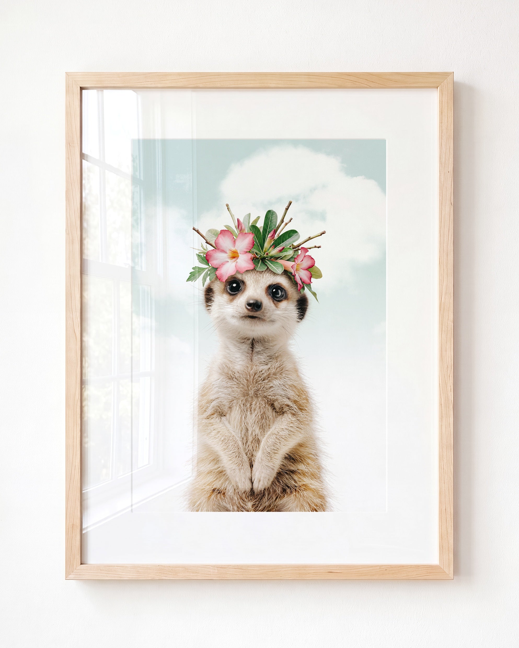 Baby Meerkat