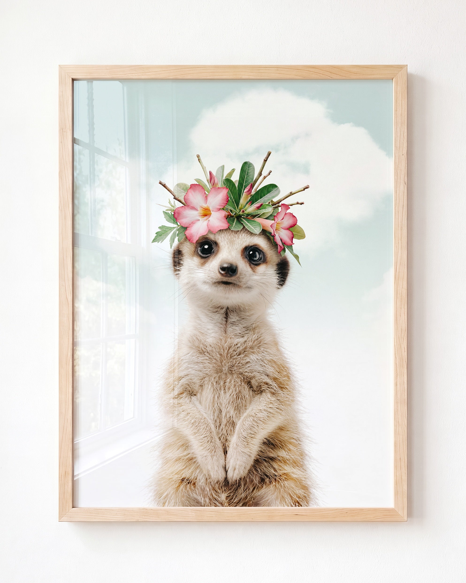 Baby Meerkat