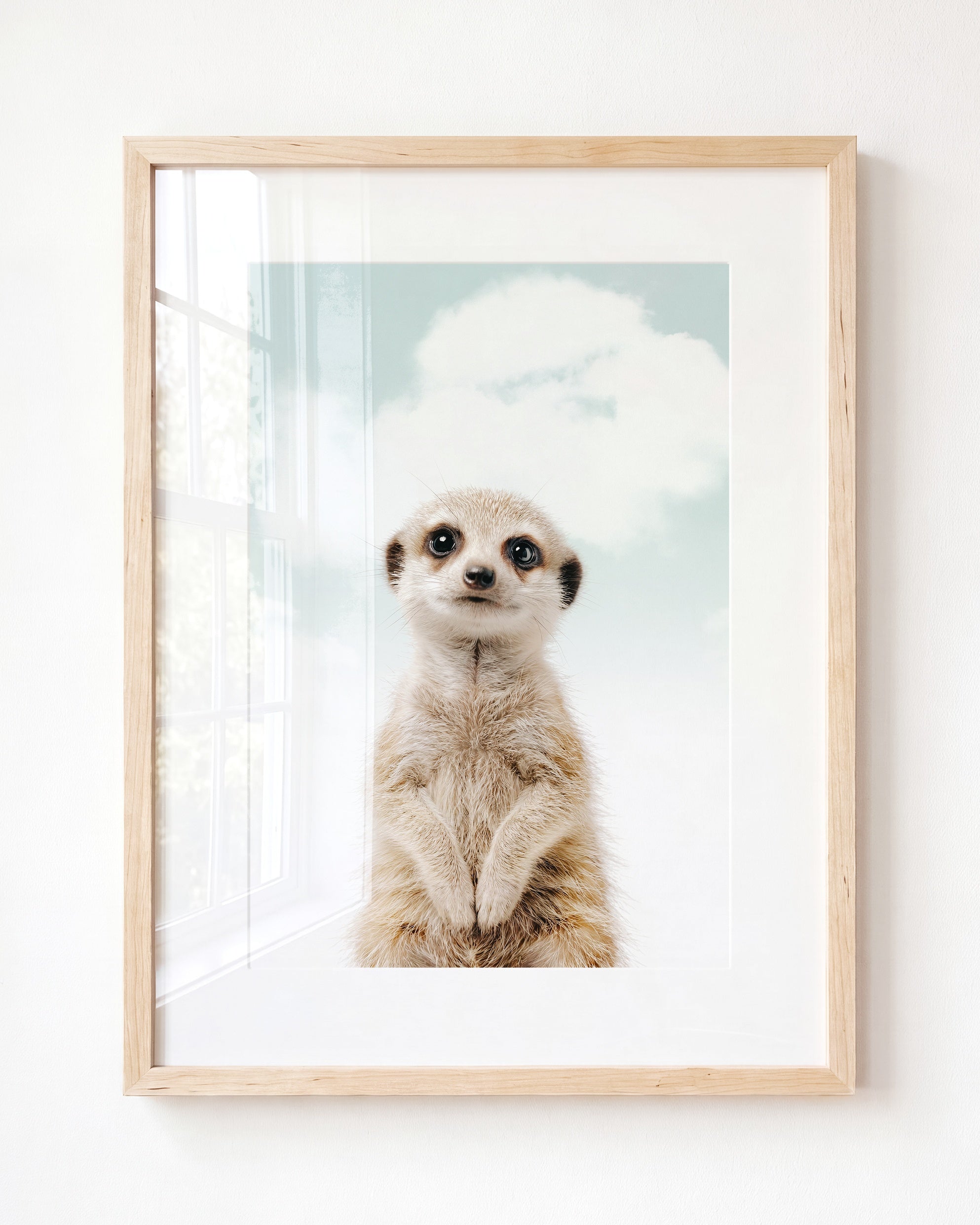 Baby Meerkat