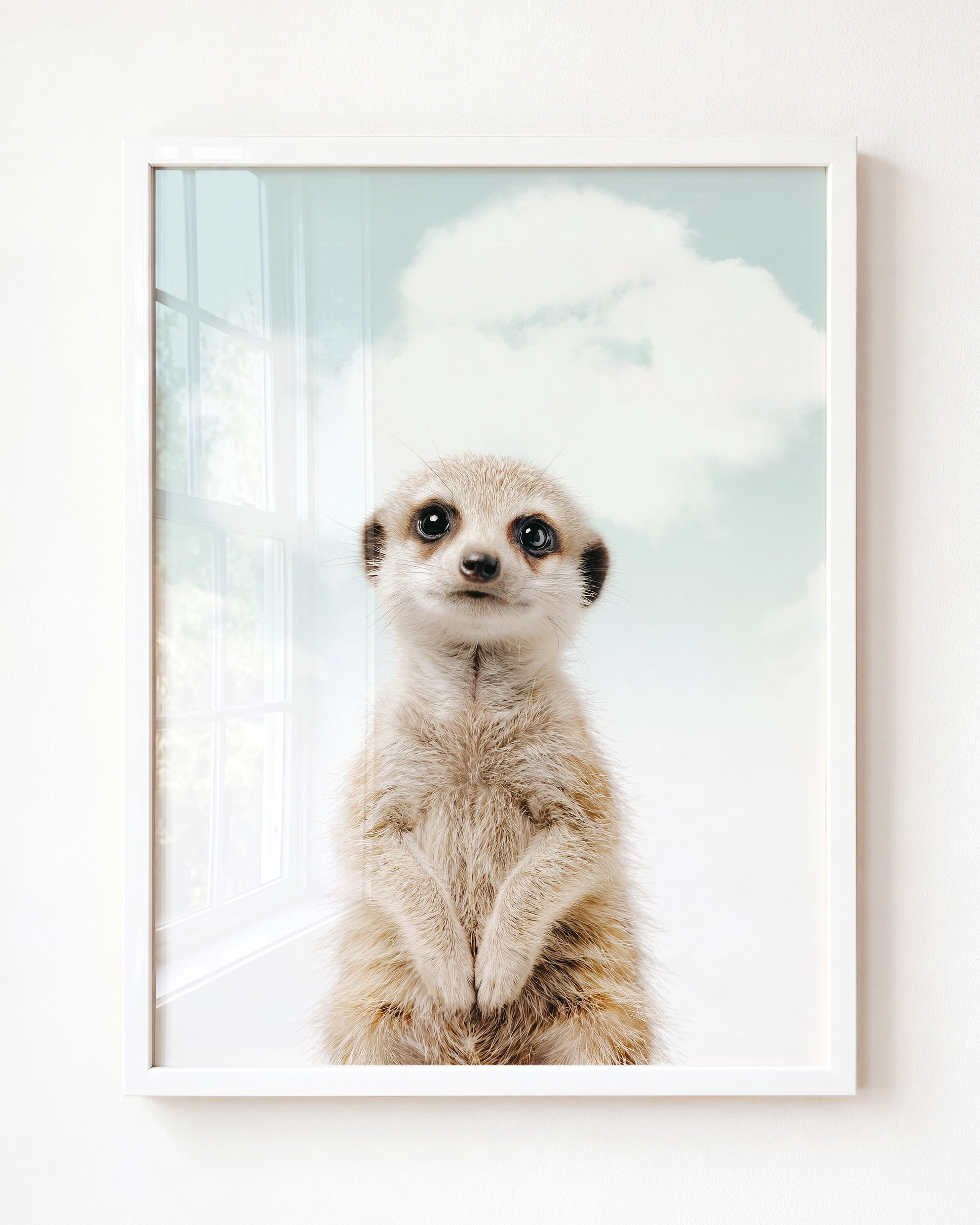 Baby Meerkat