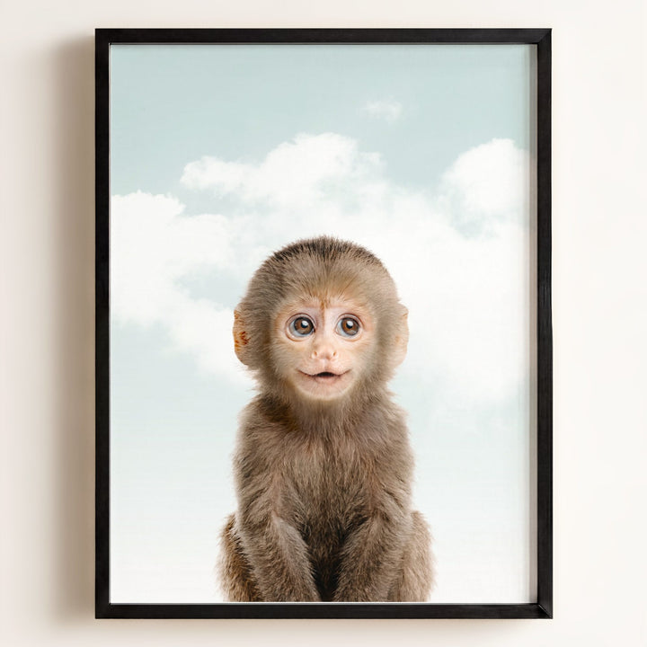 Baby Monkey