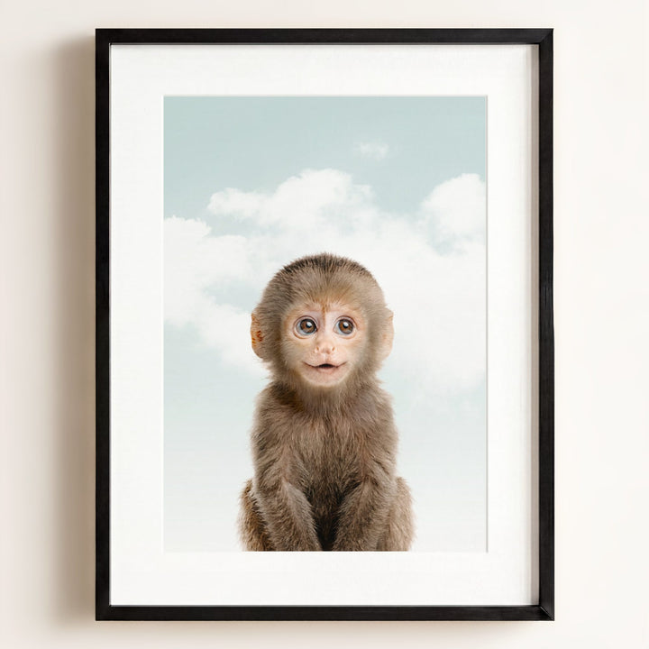 Baby Monkey