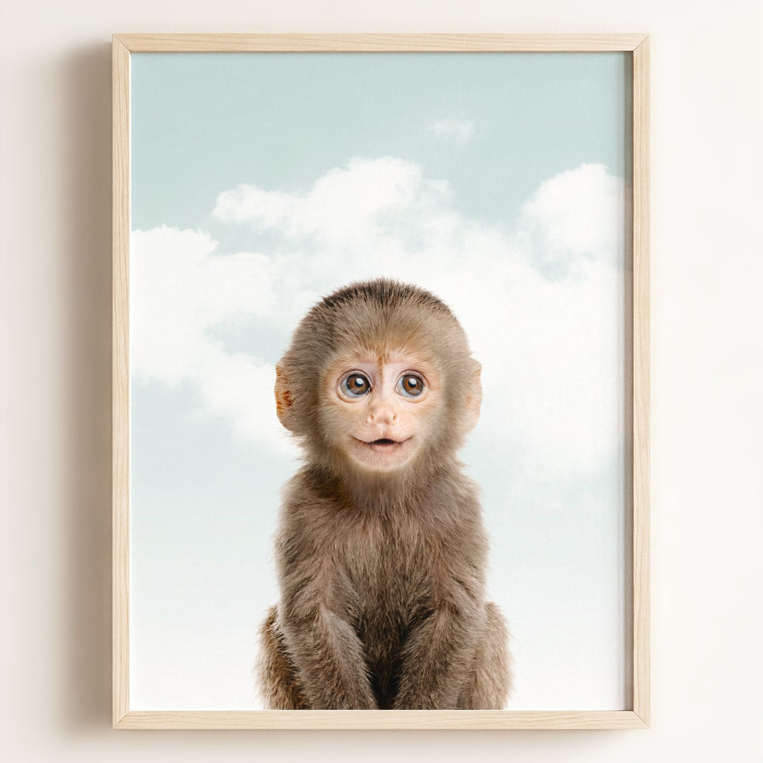 Baby Monkey