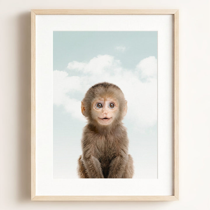 Baby Monkey