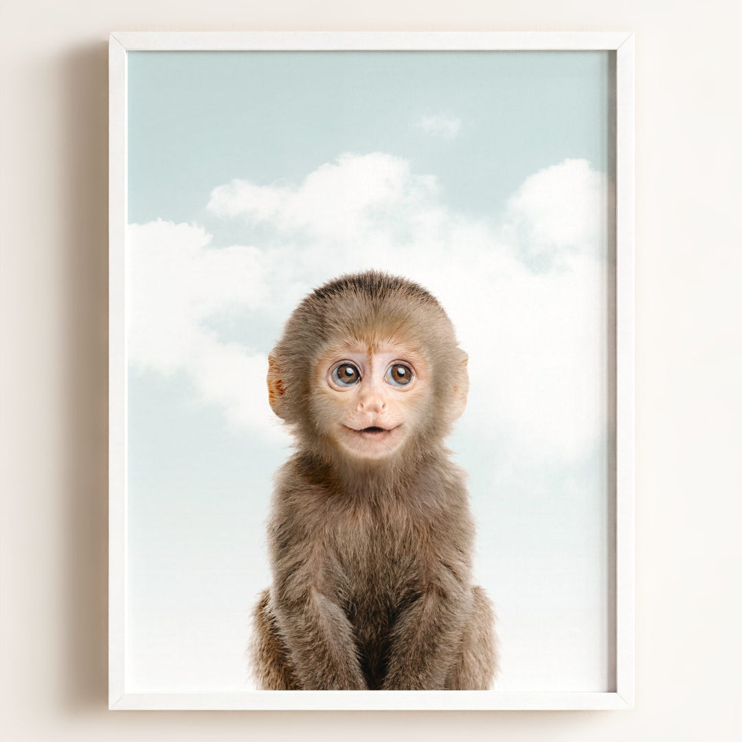 Baby Monkey