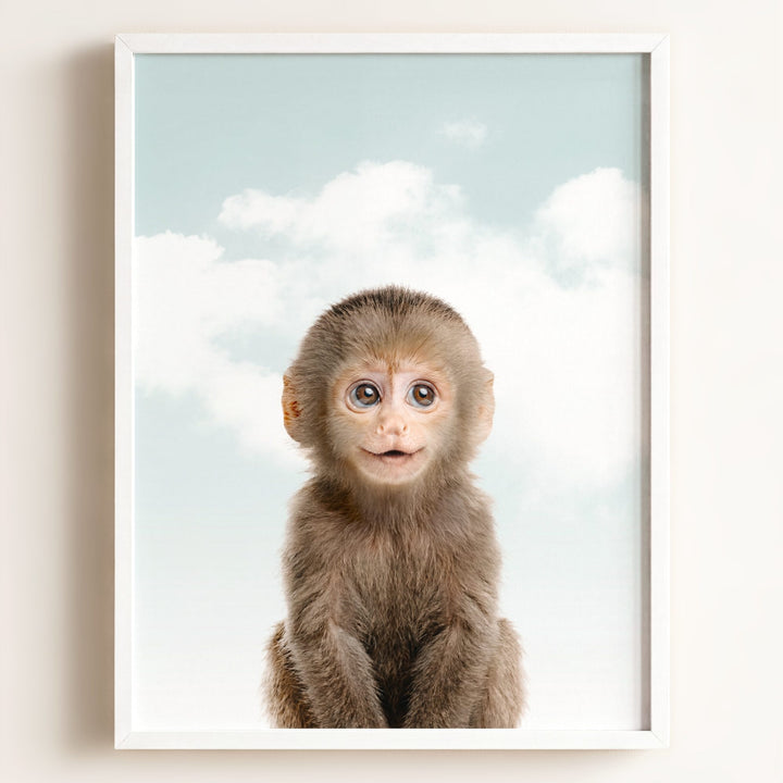 Baby Monkey