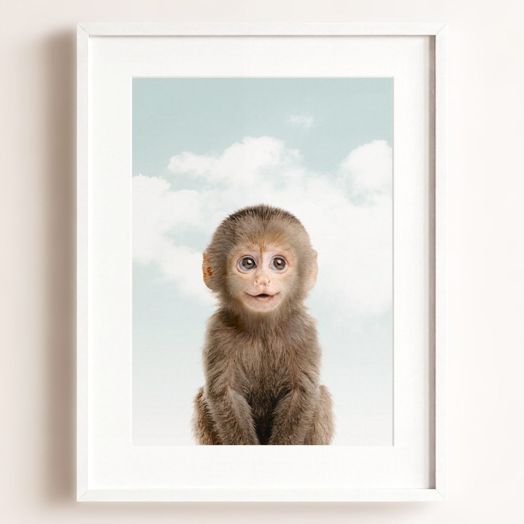 Baby Monkey