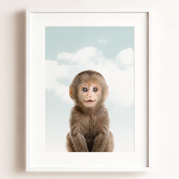 Baby Monkey
