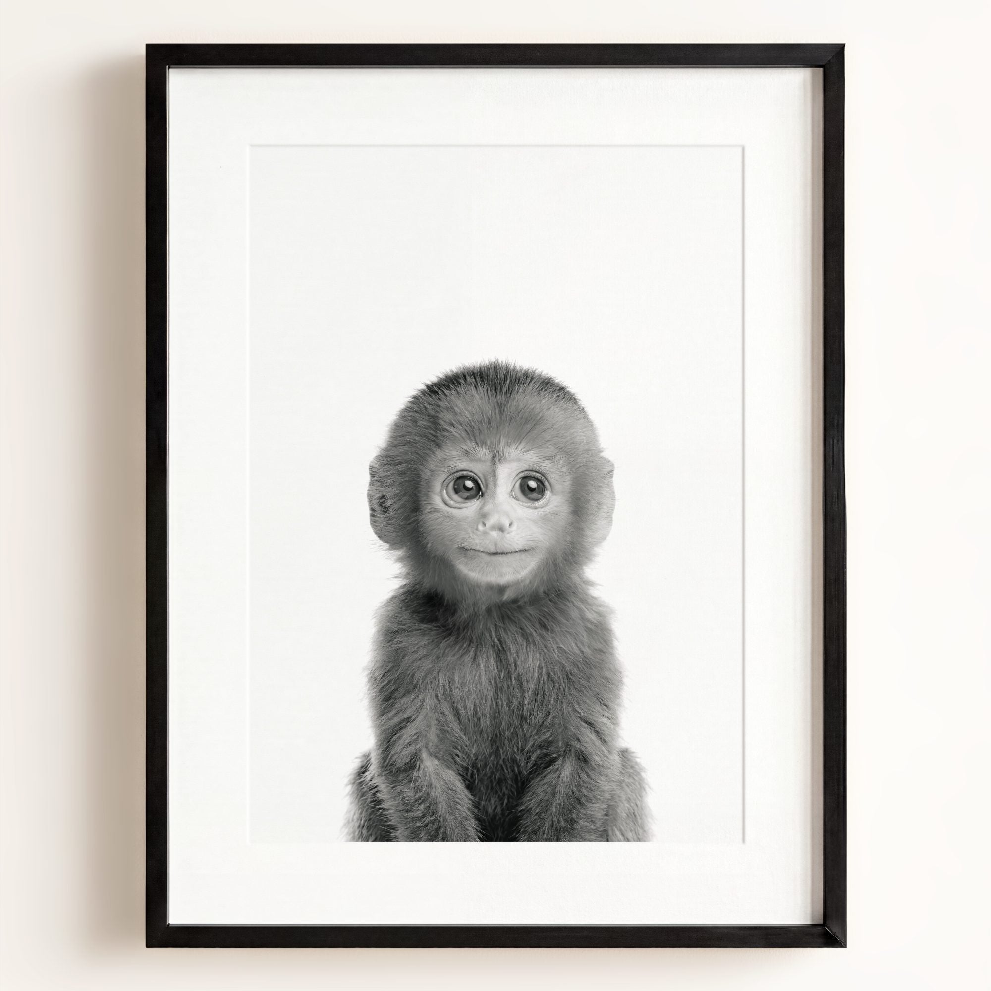 Baby Monkey