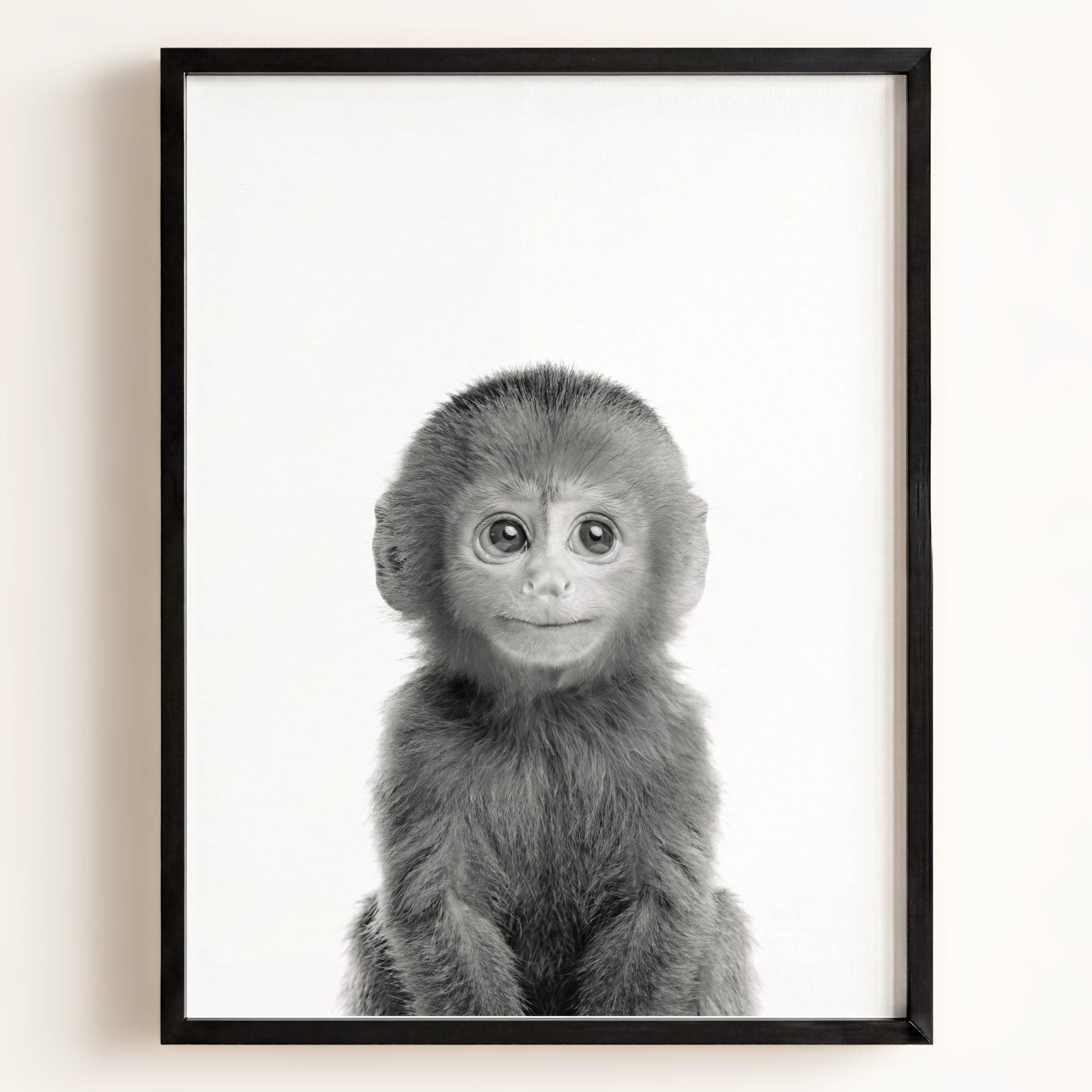 Baby Monkey