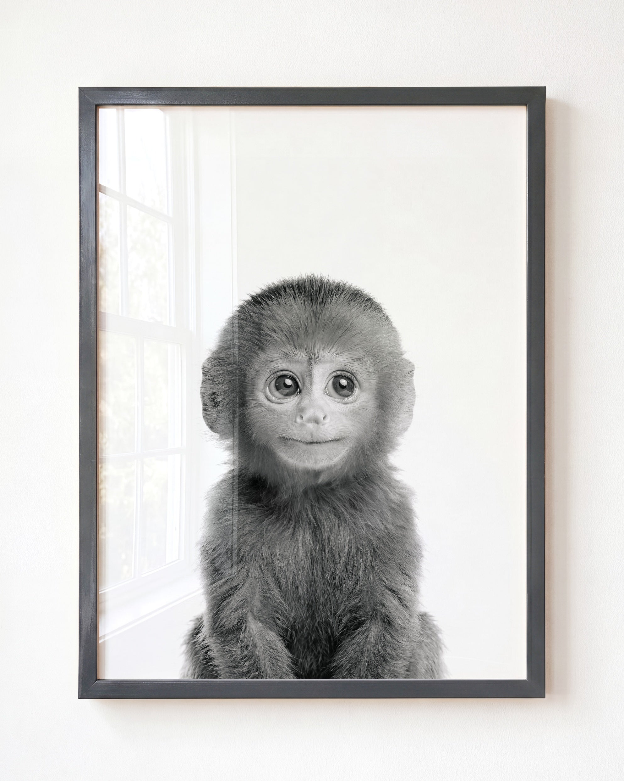 Baby Monkey