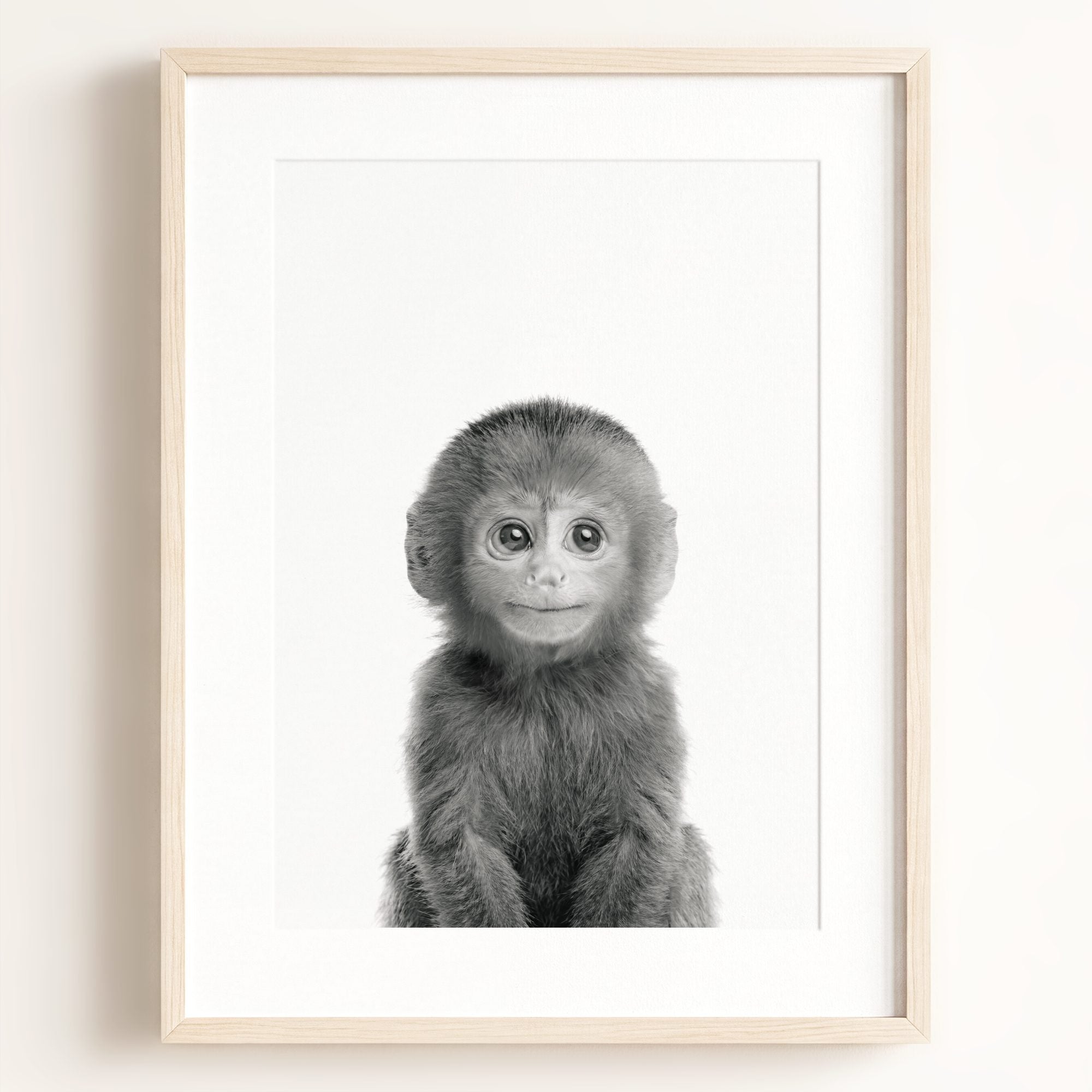 Baby Monkey