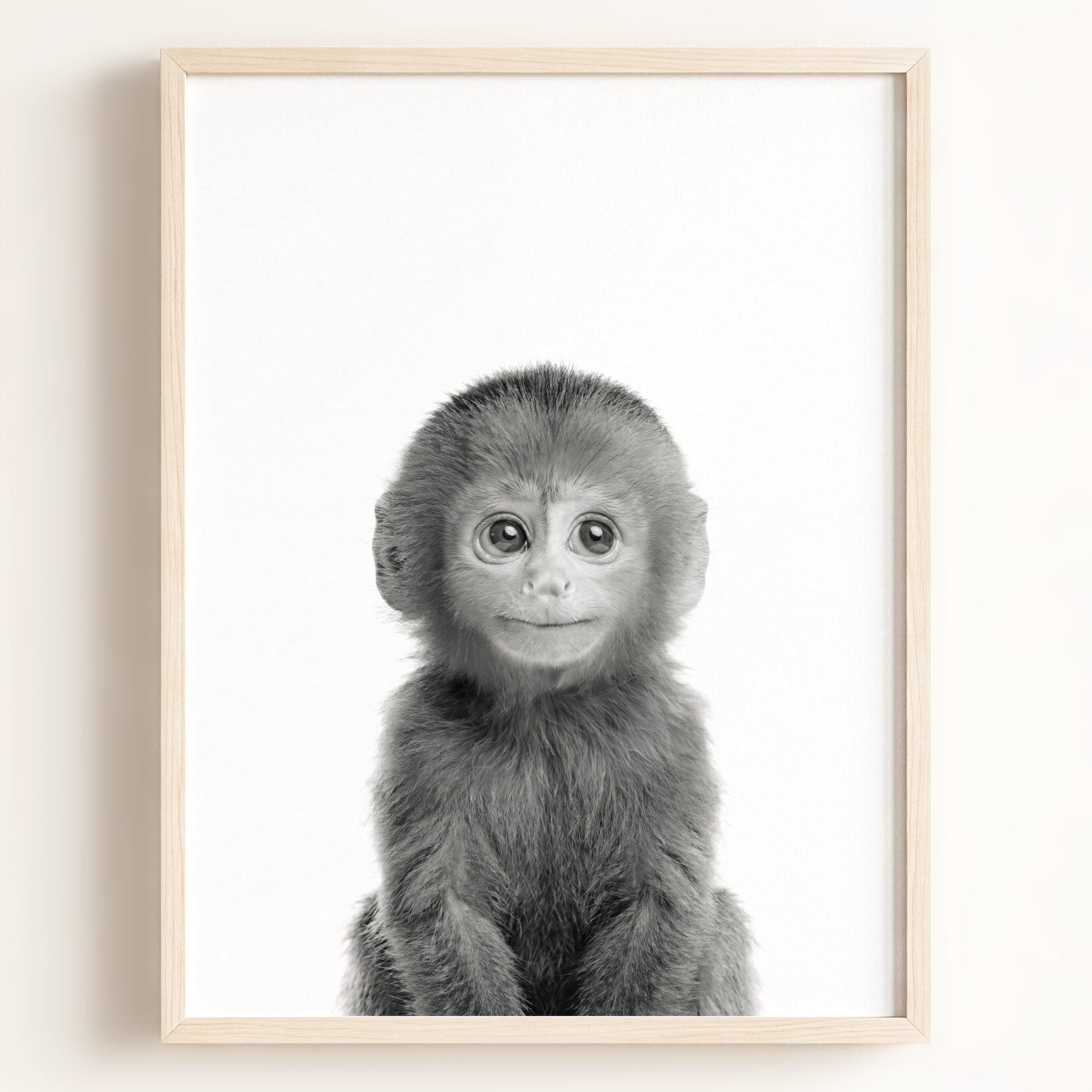 Baby Monkey