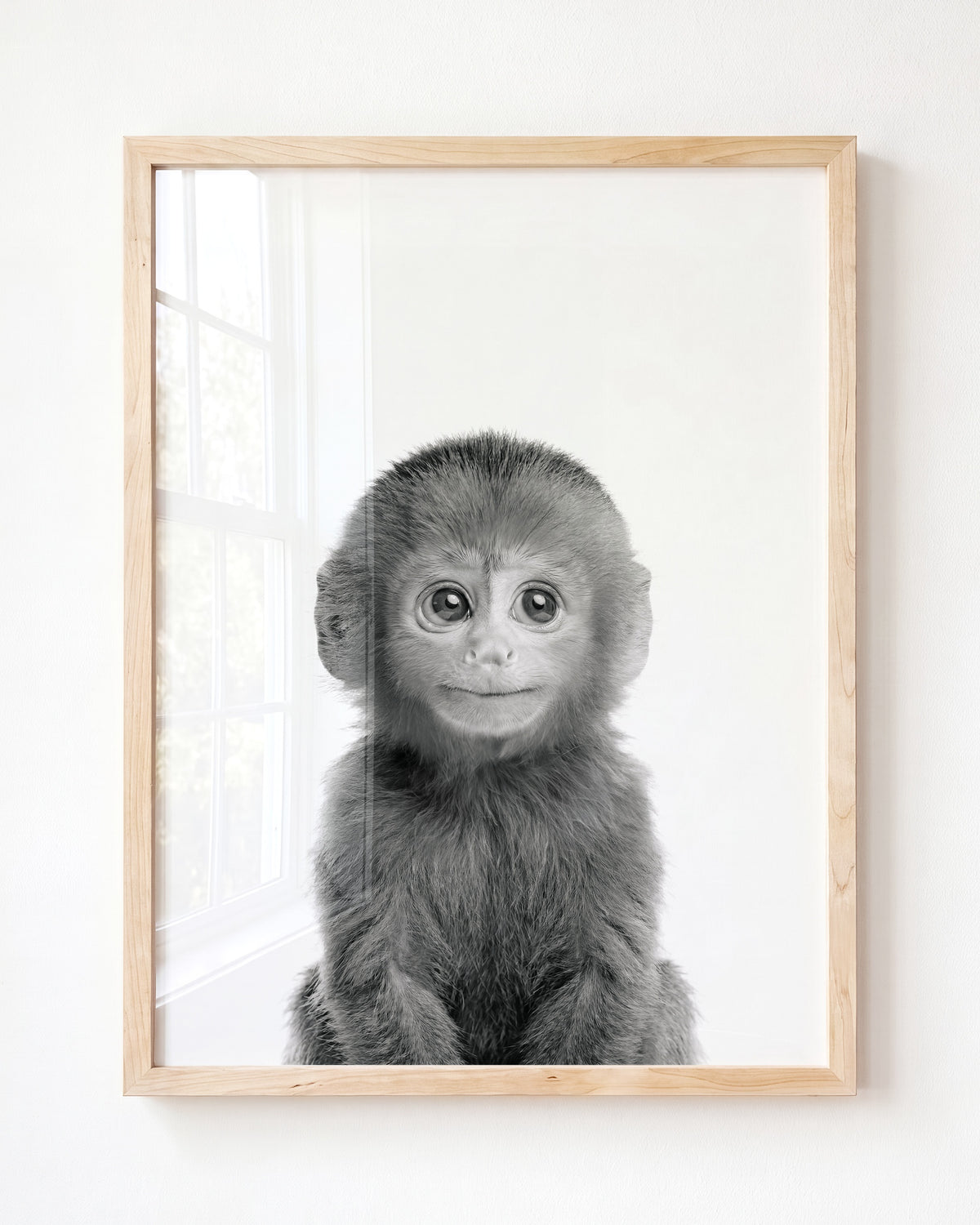 Baby Monkey